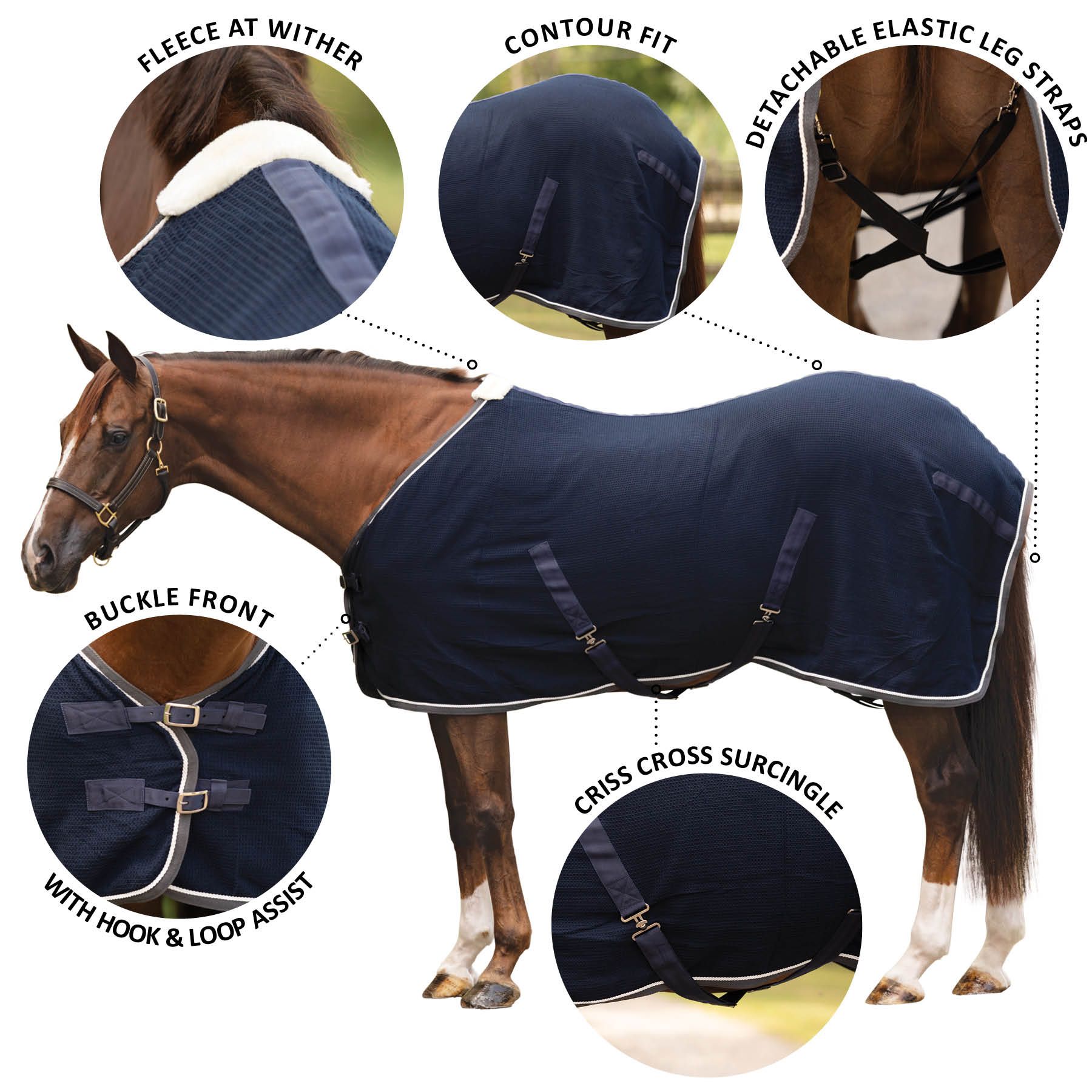 DuraTech® Temp Tamer AntiSweat Sheet Schneiders Saddlery