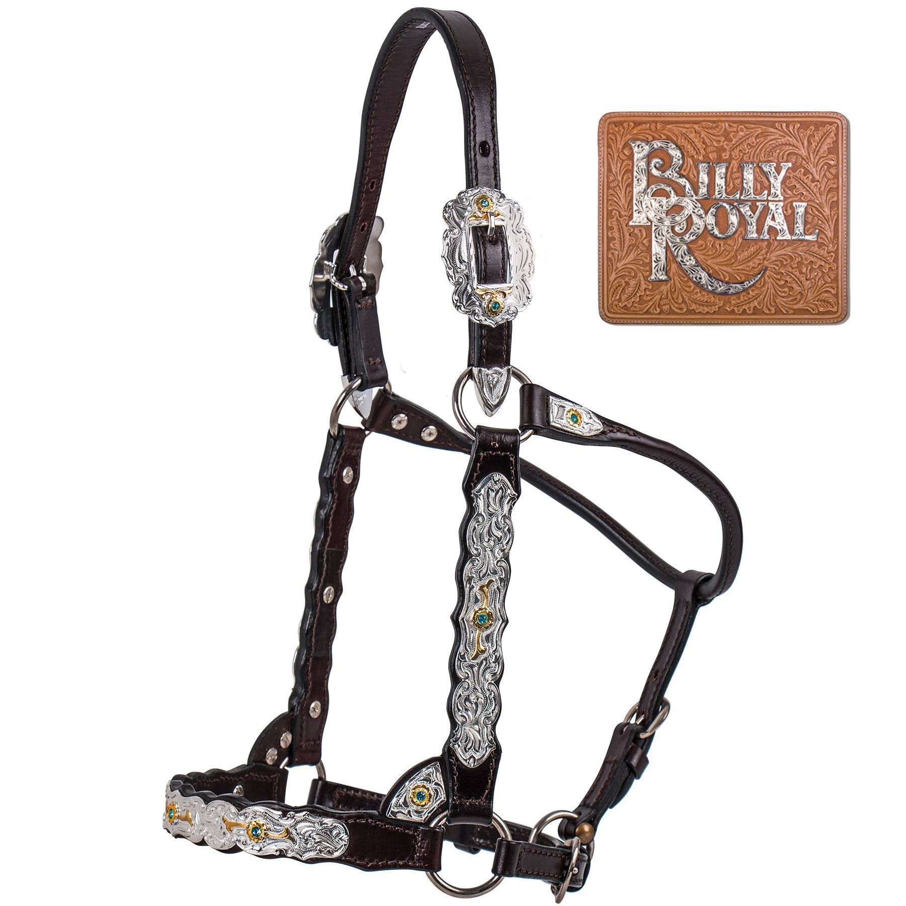 Billy Royal® Congress Miss Classic Show Halter Schneiders Saddlery