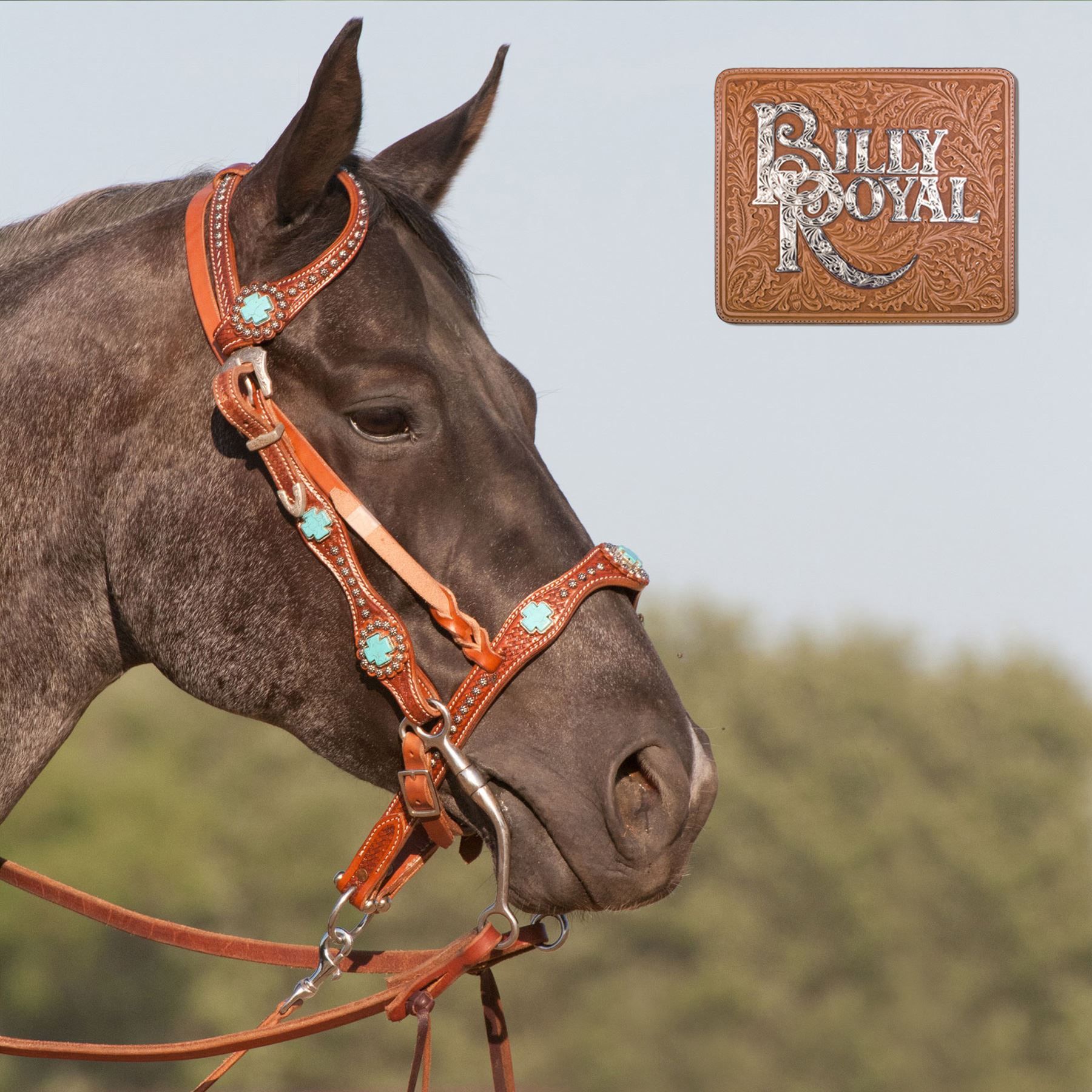 Billy Royal® Bling Turquoise Rosette One Ear Headstall Schneiders