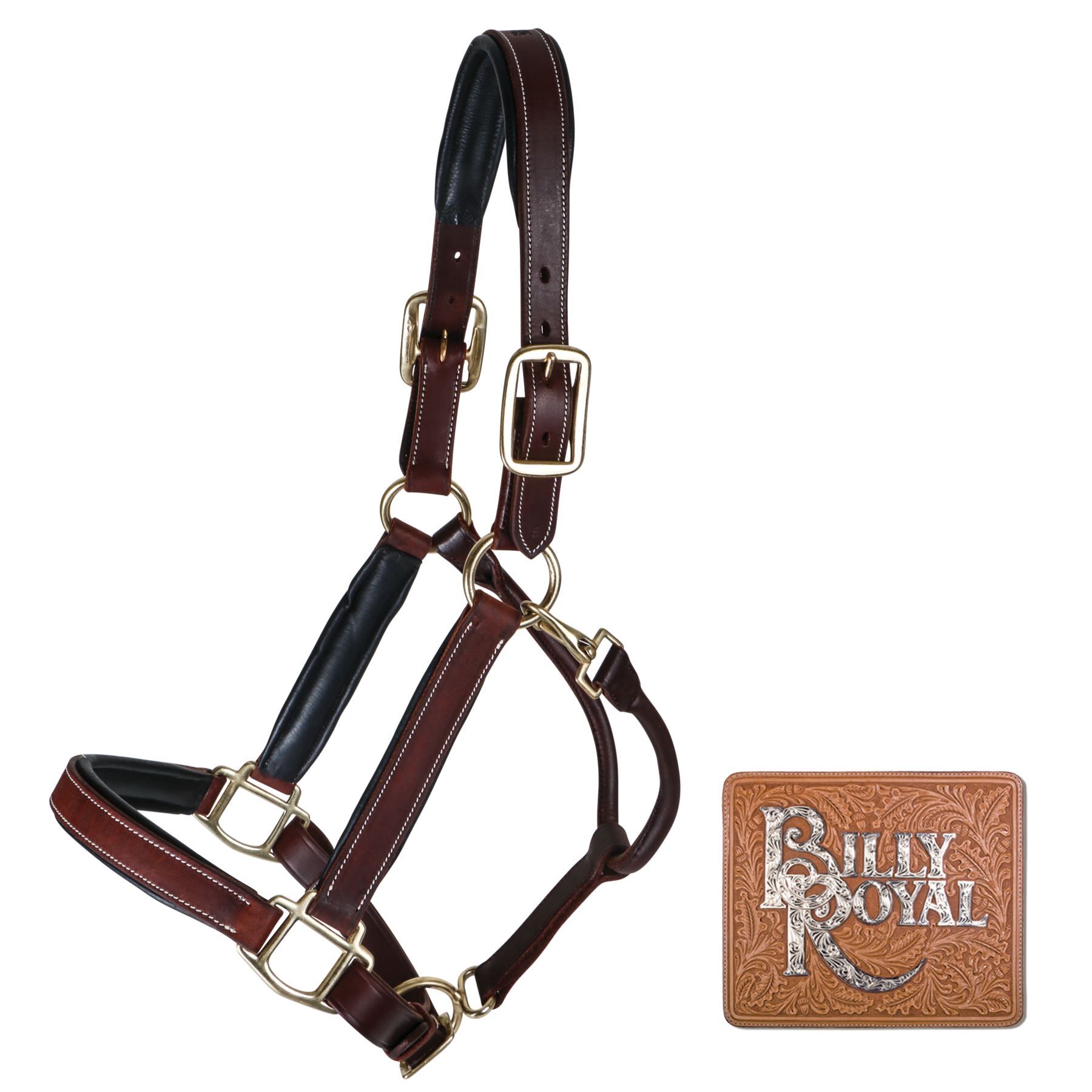 Billy Royal® Saratoga Padded Leather Halter Schneiders Saddlery