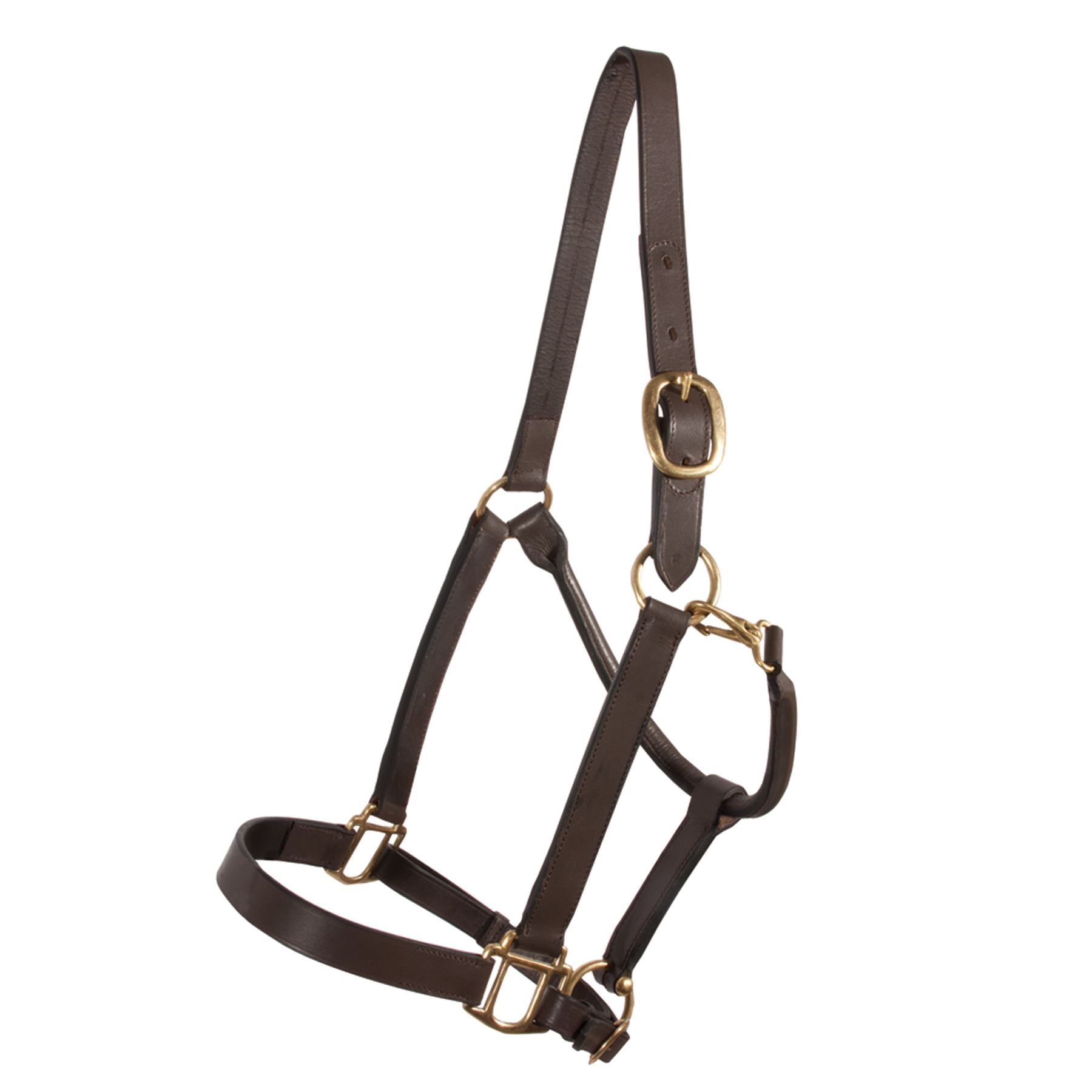 Premier Kentucky Leather Halter Cob or Full Size Schneiders Saddlery