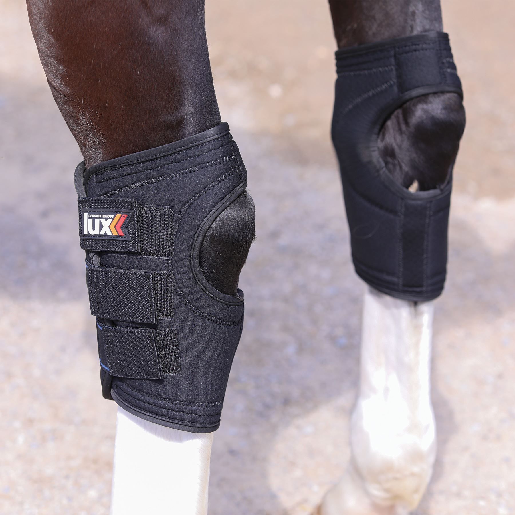 Saddle Pads Back on Track Therapeutic Western Liner 2Pack