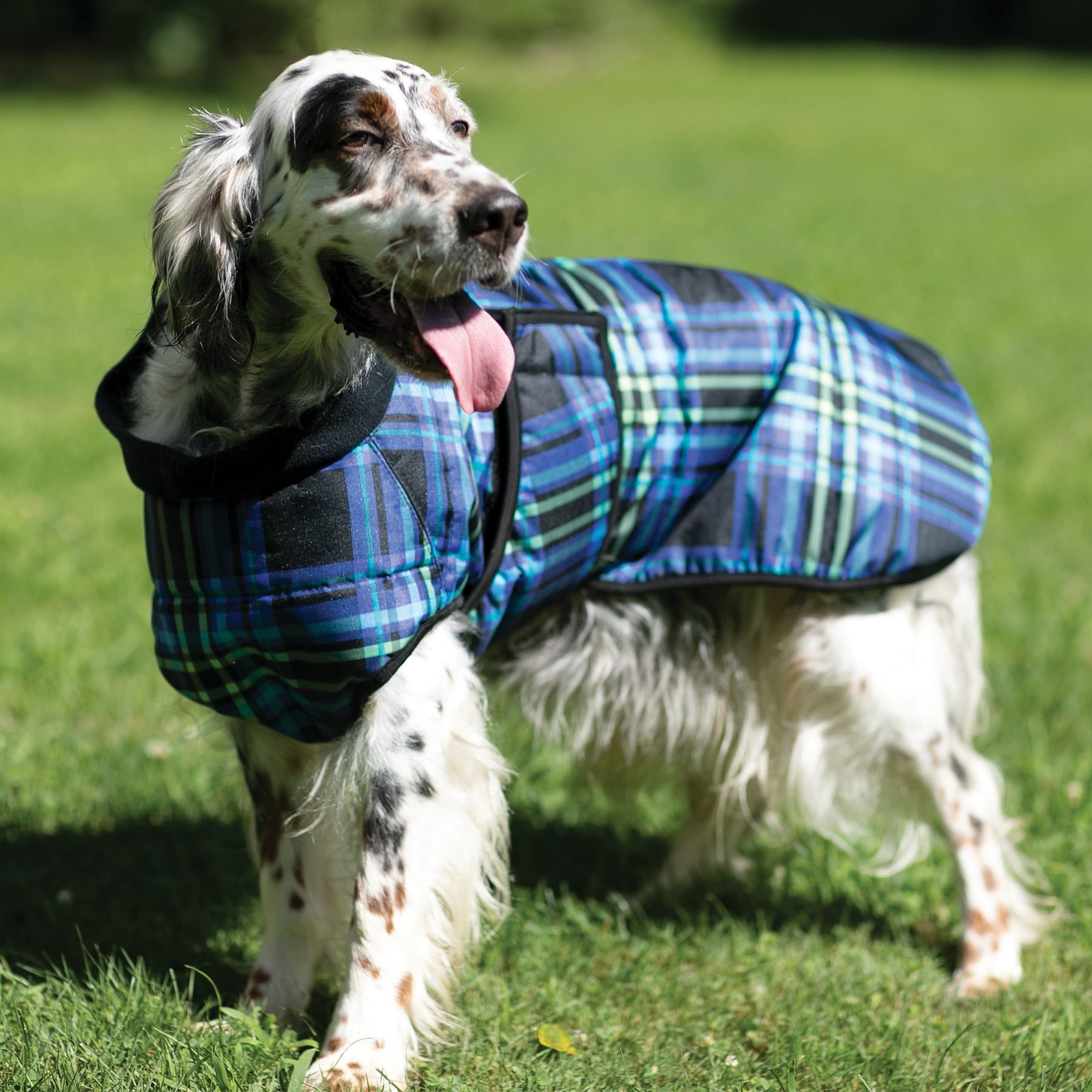 DuraTech® Waterproof Insulated Plaid Dog Coat Schneiders Saddlery