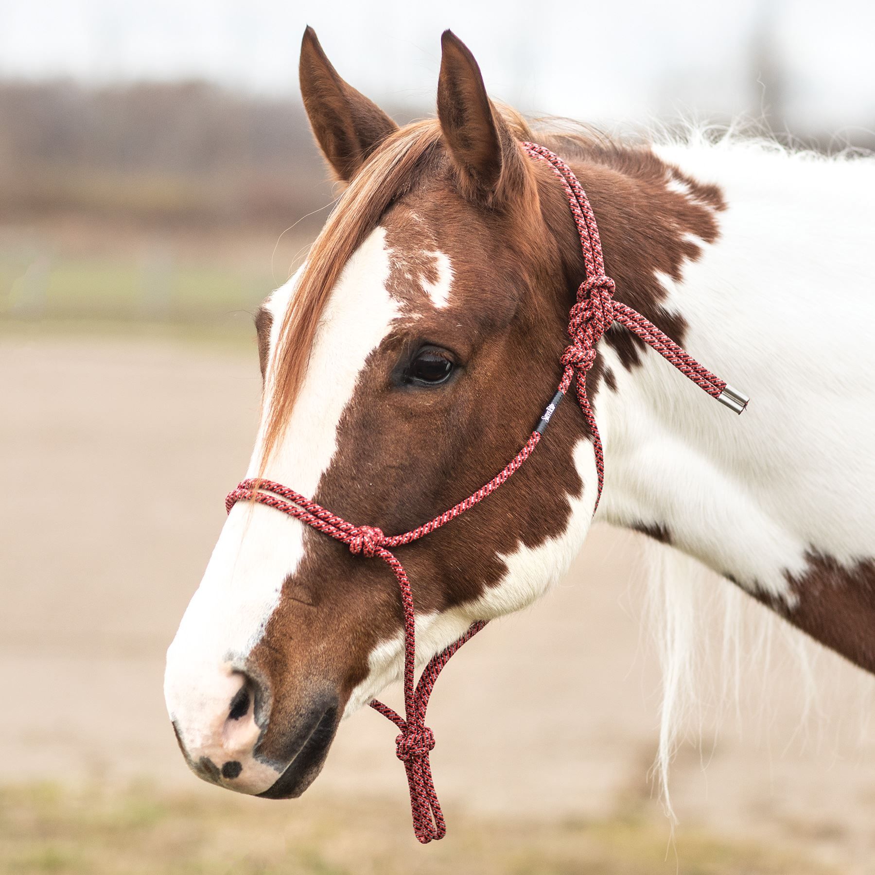 Weaver® Silvertip® No. 95 Rope Halter Schneiders Saddlery