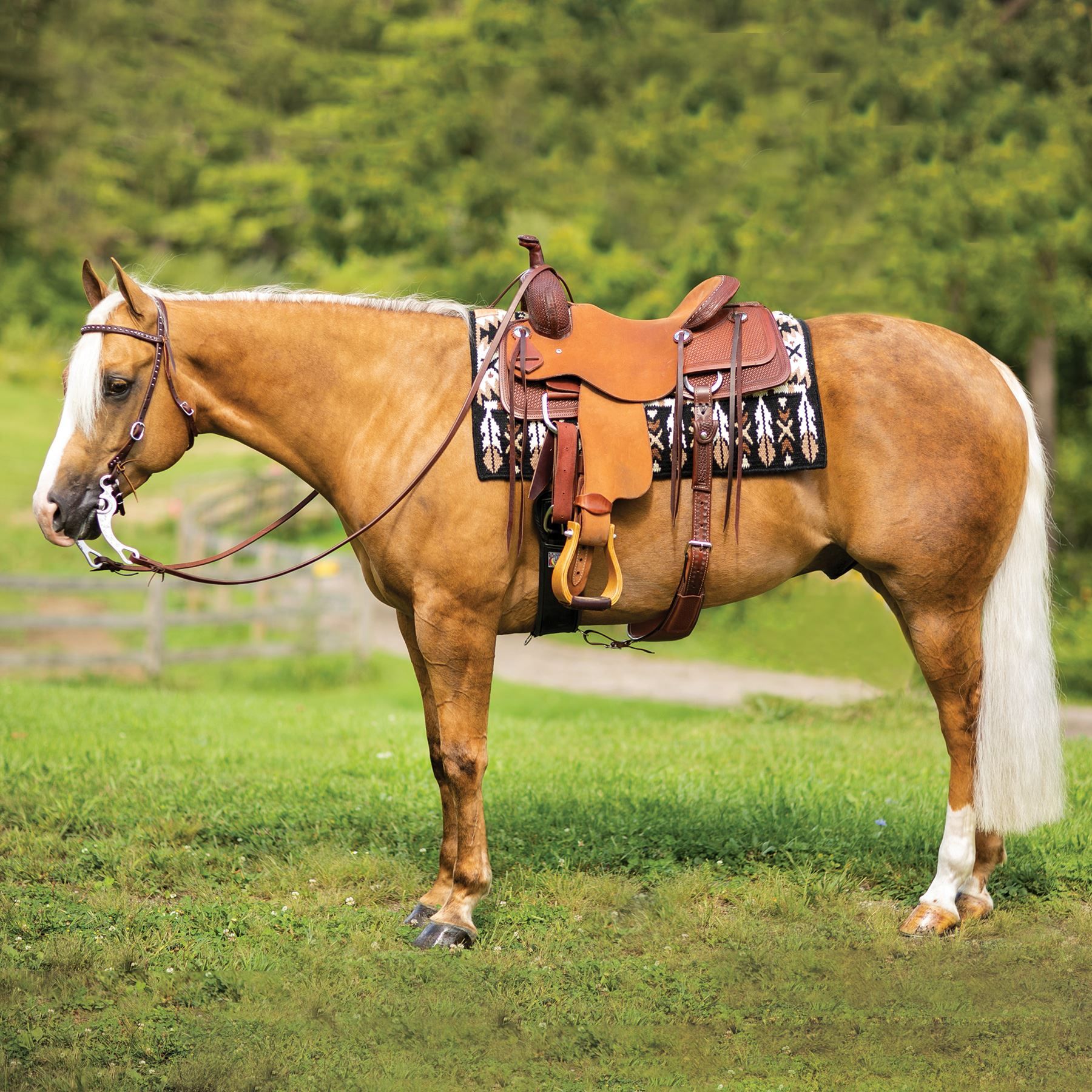 Western Oak™ Ranch Cutting Saddle Schneiders Saddlery
