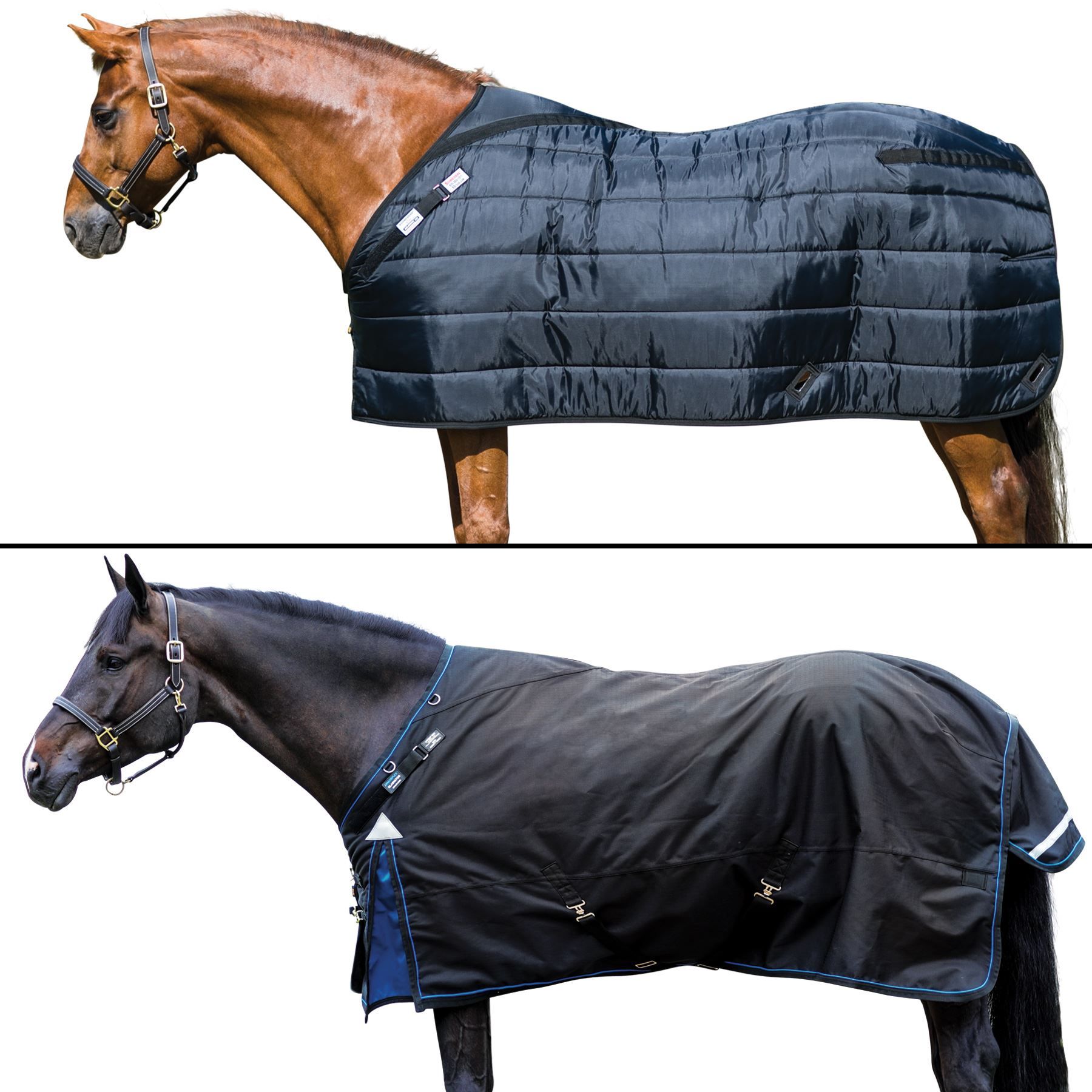 Medium Weight Horse Blanket Temperature Blog Dandk