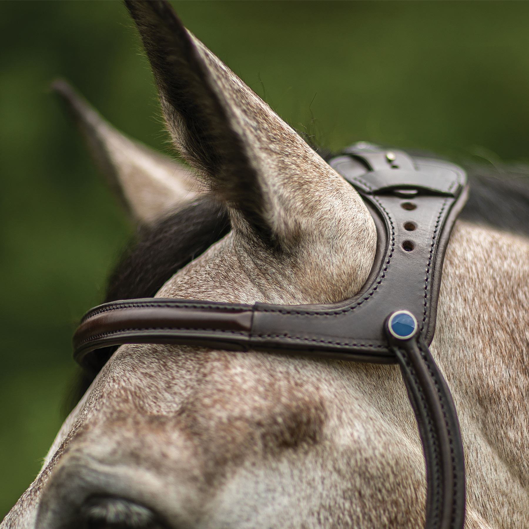 Stubben Freedom English Bridle Schneiders Saddlery