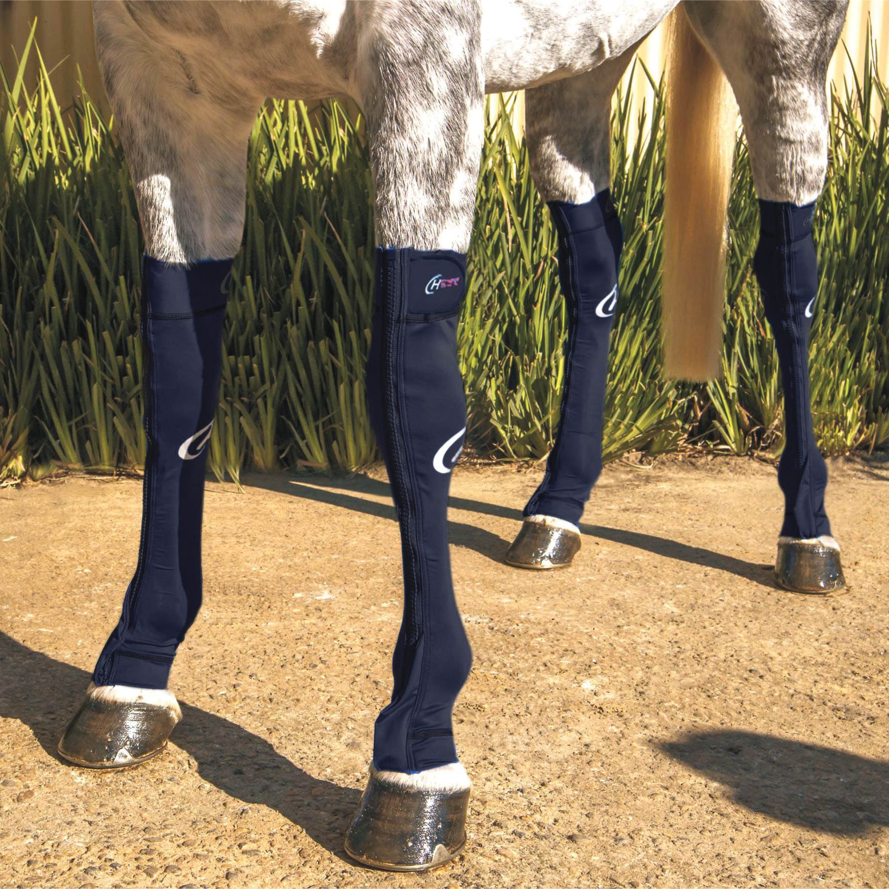 Horseshoes (the game) confuses me OT Lounge