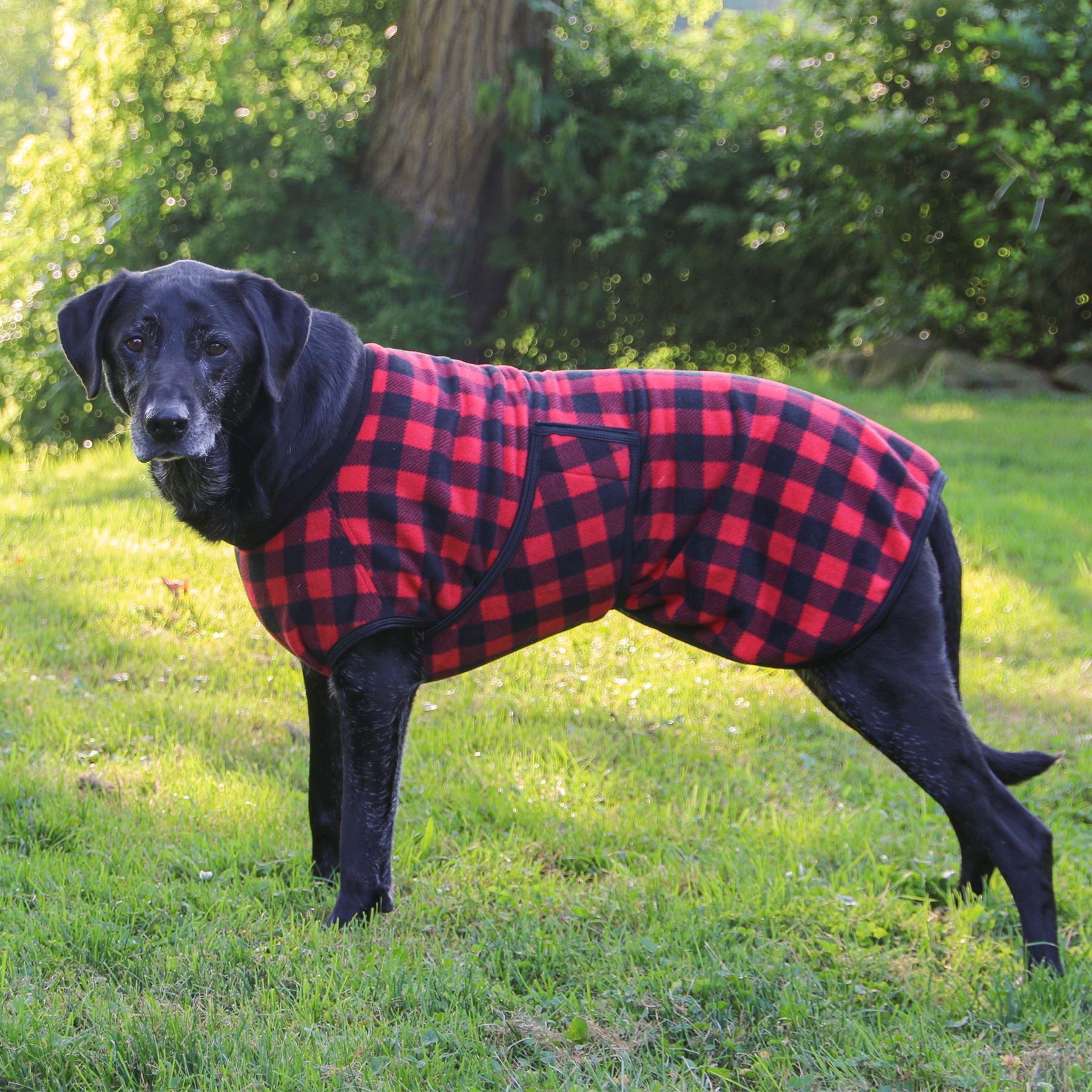 DuraTech® Buffalo Plaid Fleece Dog Coat Schneiders Saddlery