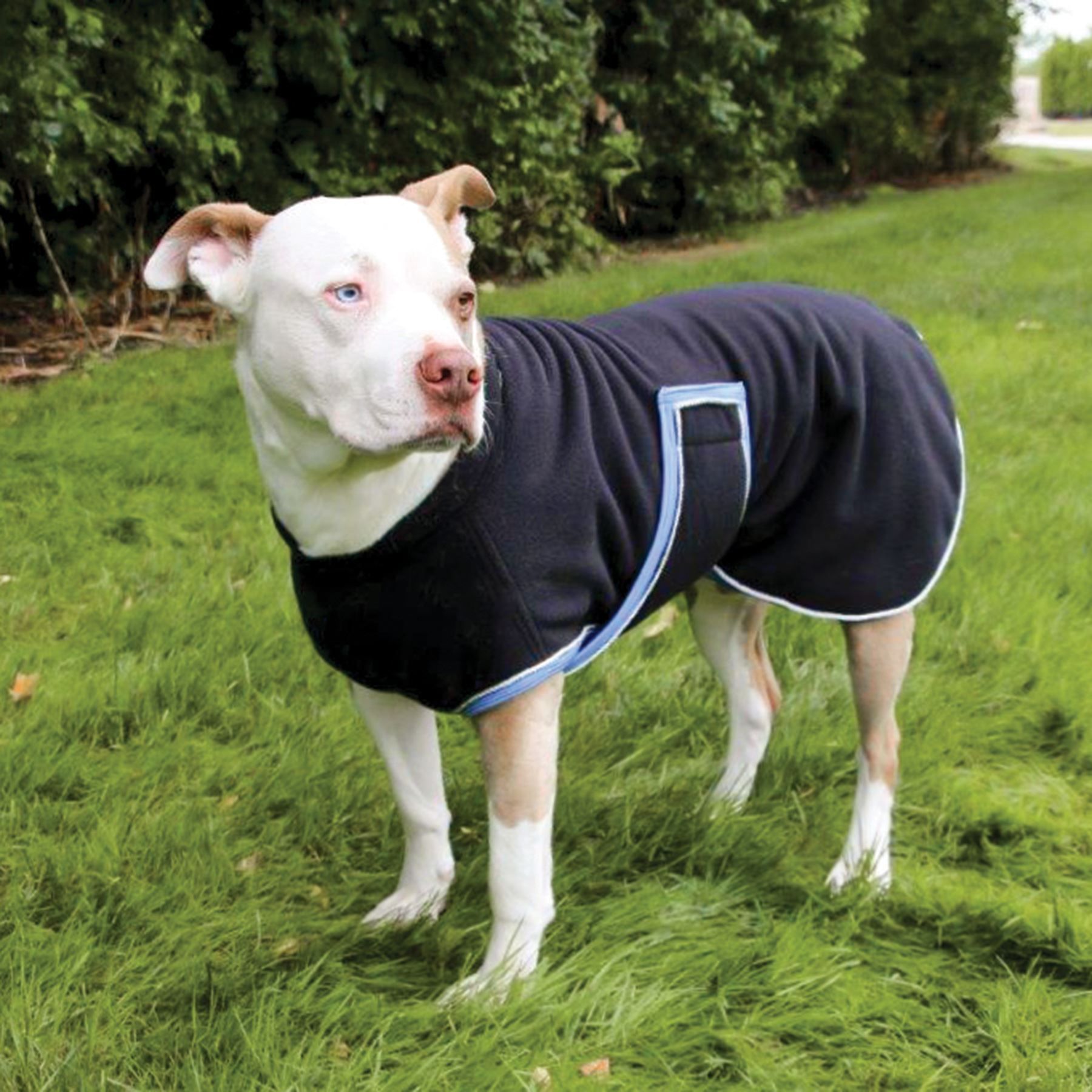 DuraTech® Heavy Fleece Dress Dog Coat Schneiders Saddlery