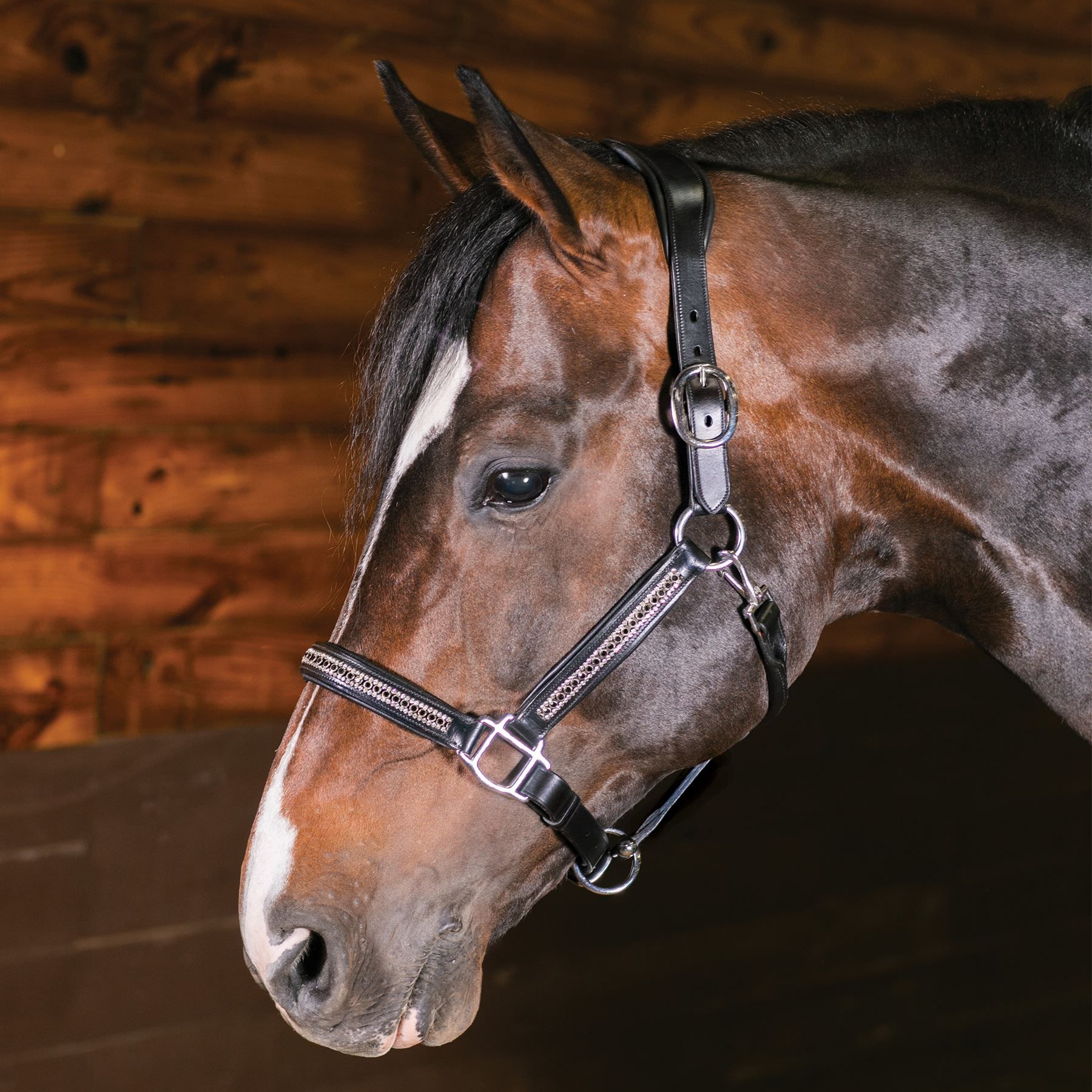 Joseph Sterling® Padded Crystal Leather Halter Schneiders Saddlery