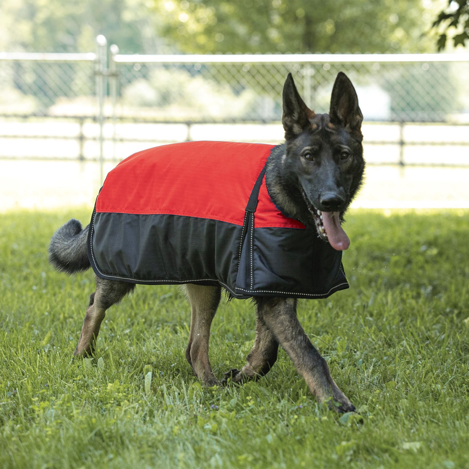 DuraTech® Waterproof Reflective Dog Coat Schneiders Saddlery