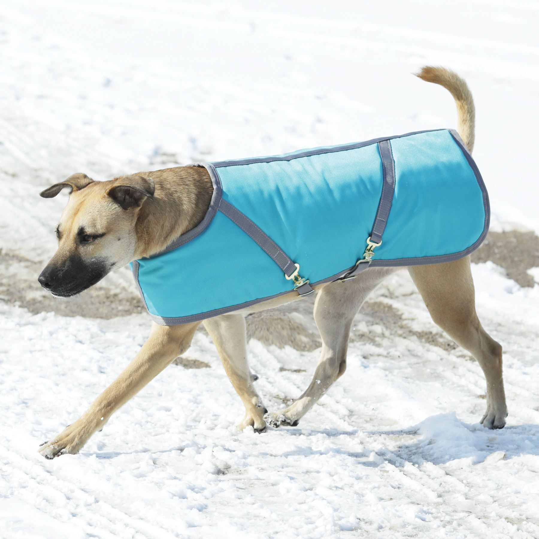 DuraTech® Limited Edition 1680 Waterproof Insulated Dog Coat