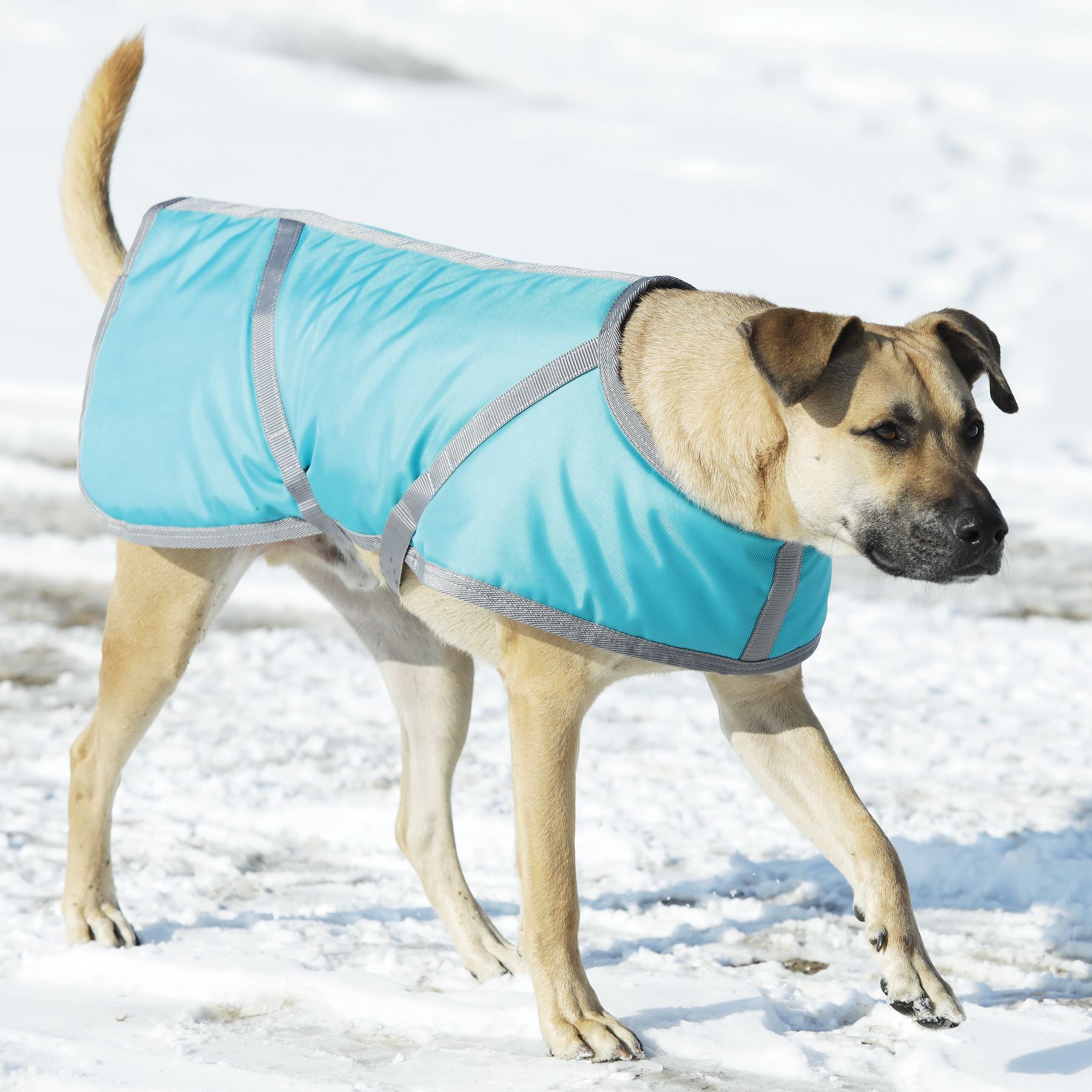 DuraTech® Limited Edition 1680 Waterproof Insulated Dog Coat