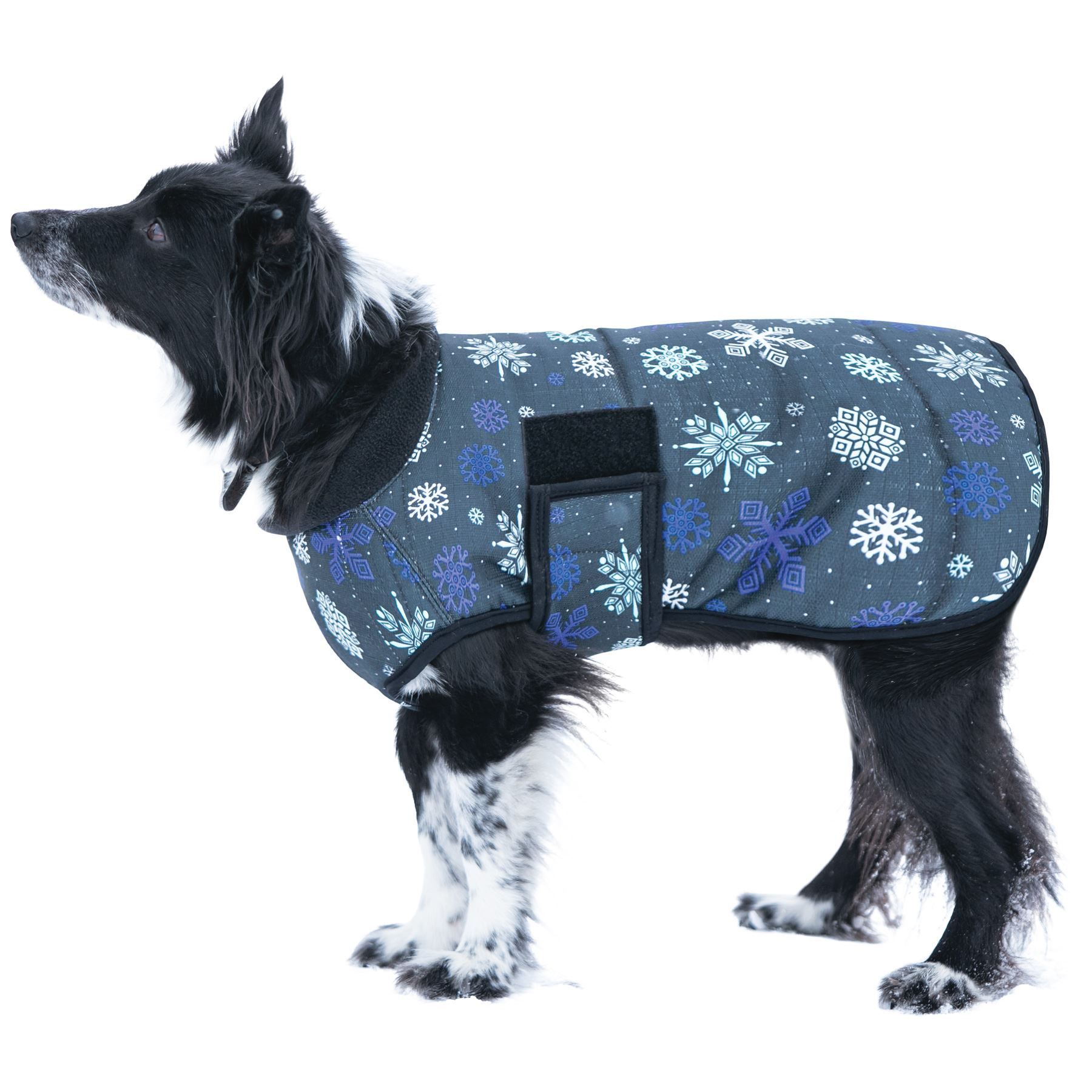 DuraTech® Limited Edition Waterproof Dog Blanket Schneiders Saddlery