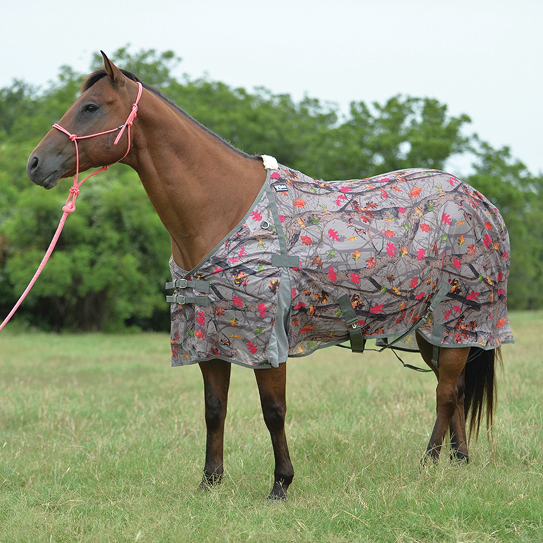 Cashel Closeout Hot Leaf Econo Fly Sheet Schneiders Saddlery