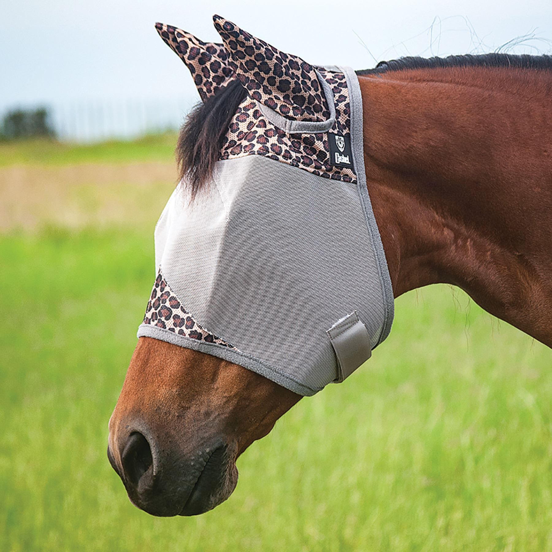 Cashel Leopard Print Fly Mask with Ears Schneiders Saddlery