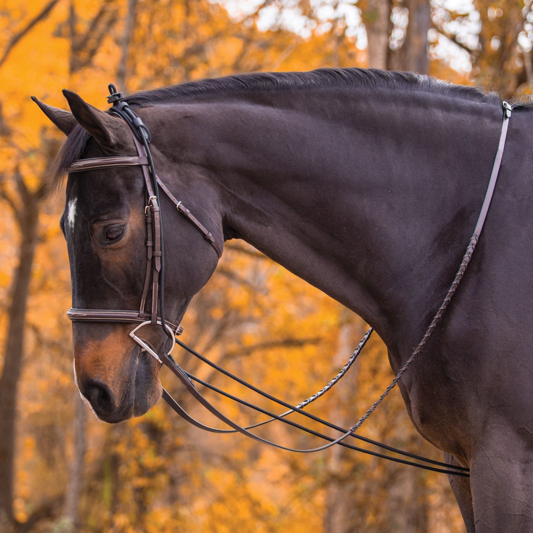 DuraTech® Heavy Neck Stretcher Schneiders Saddlery