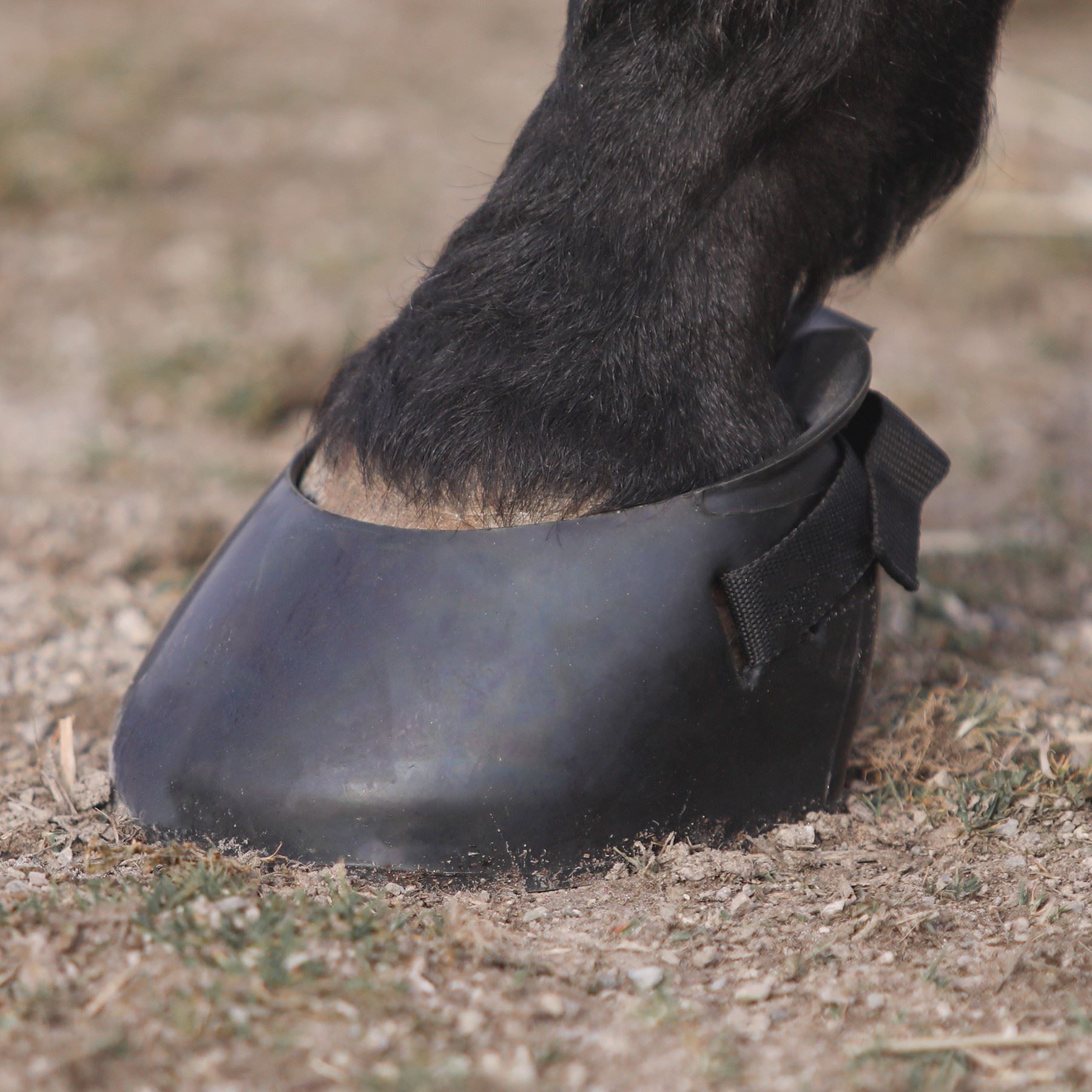 DuraTech® Protective Rubber Horse Boot Schneiders Saddlery