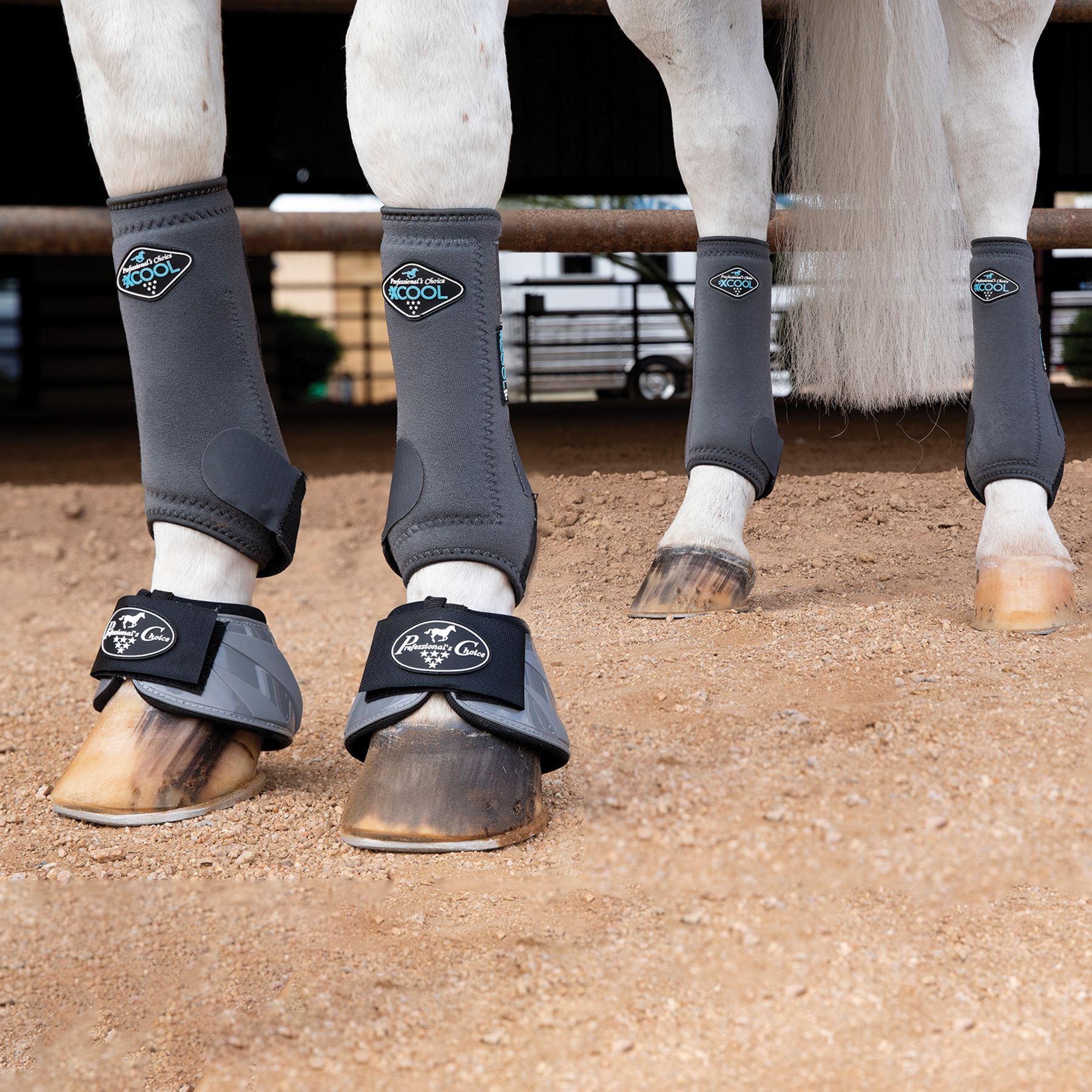 Buy > horse sport boots 4 pack > in stock