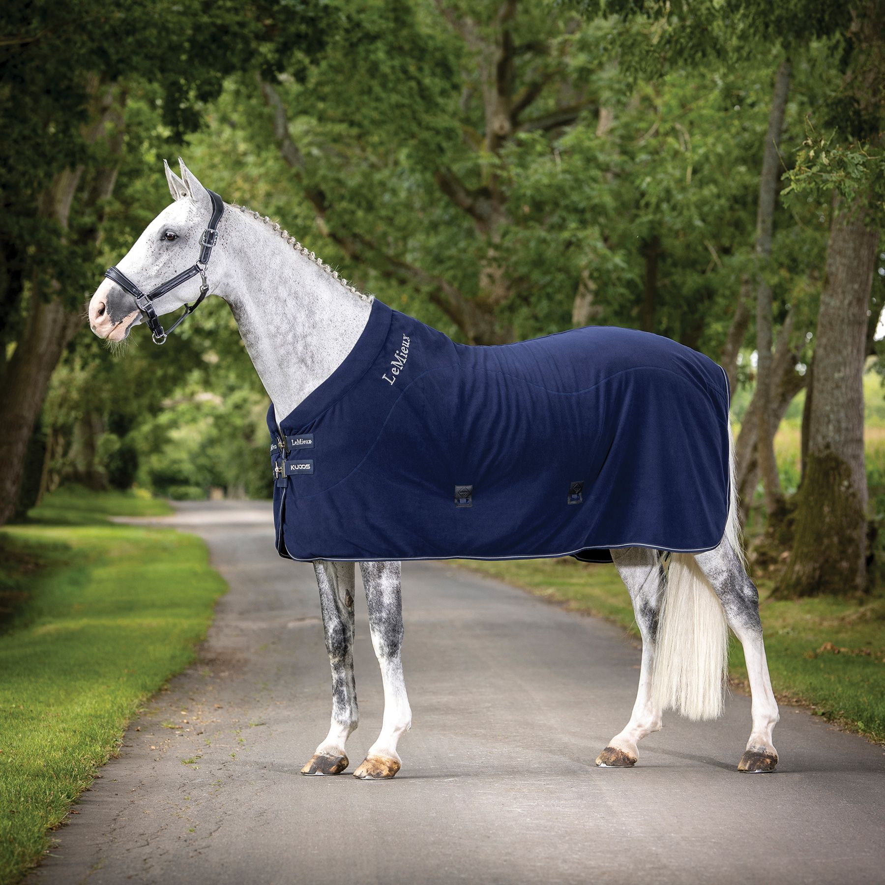 LeMieux® Fleece Cooler Rug Schneiders Saddlery