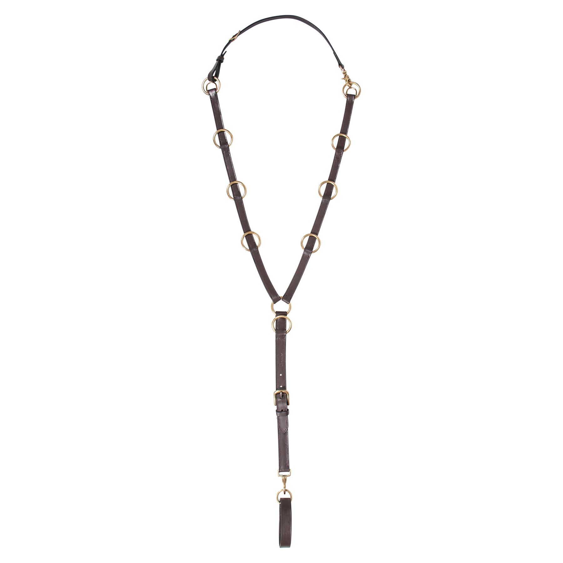 Premier 10 Ring Training Martingale in Martingales/Training Forks at