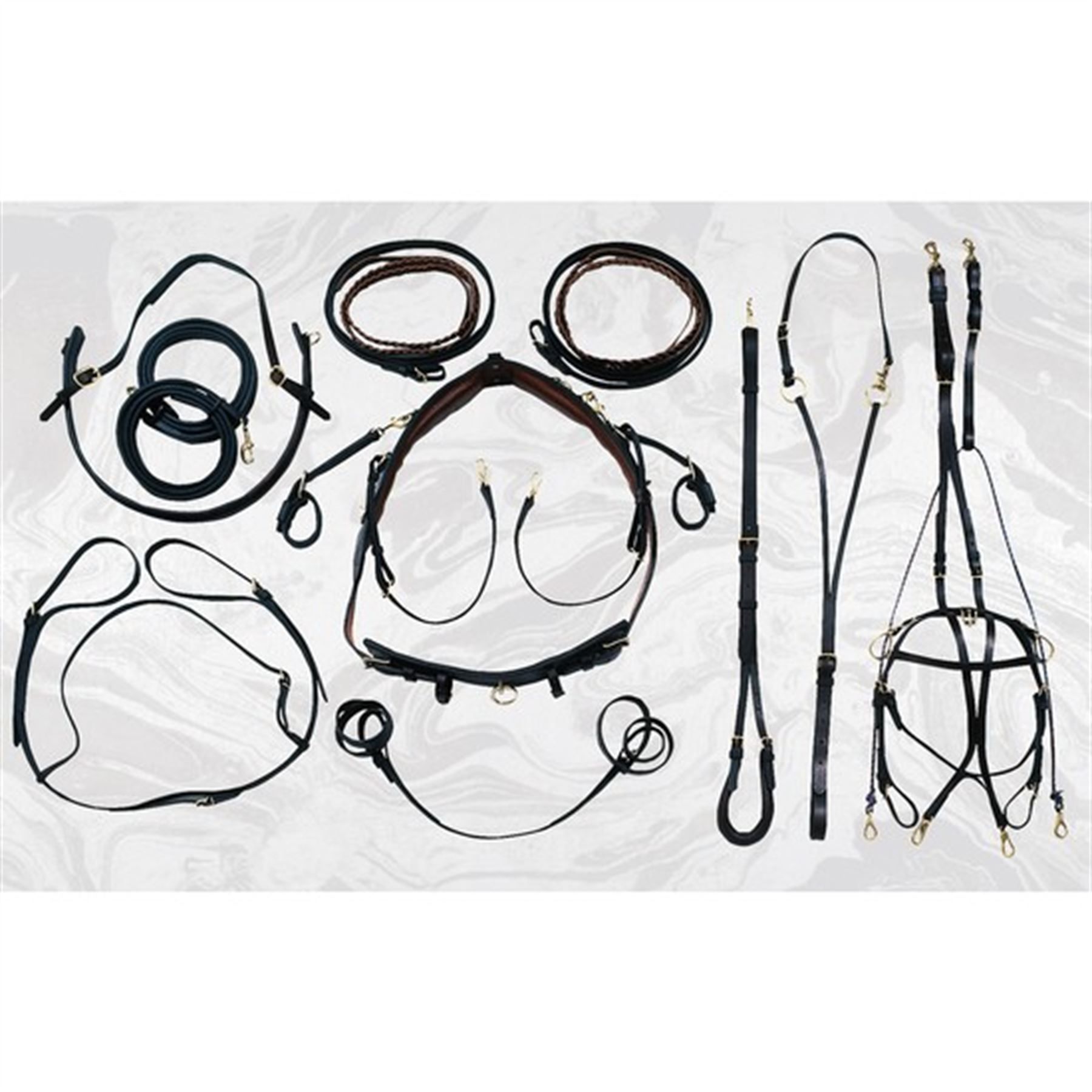 Premier Quick Hitch Training Harness in at Schneider Saddlery