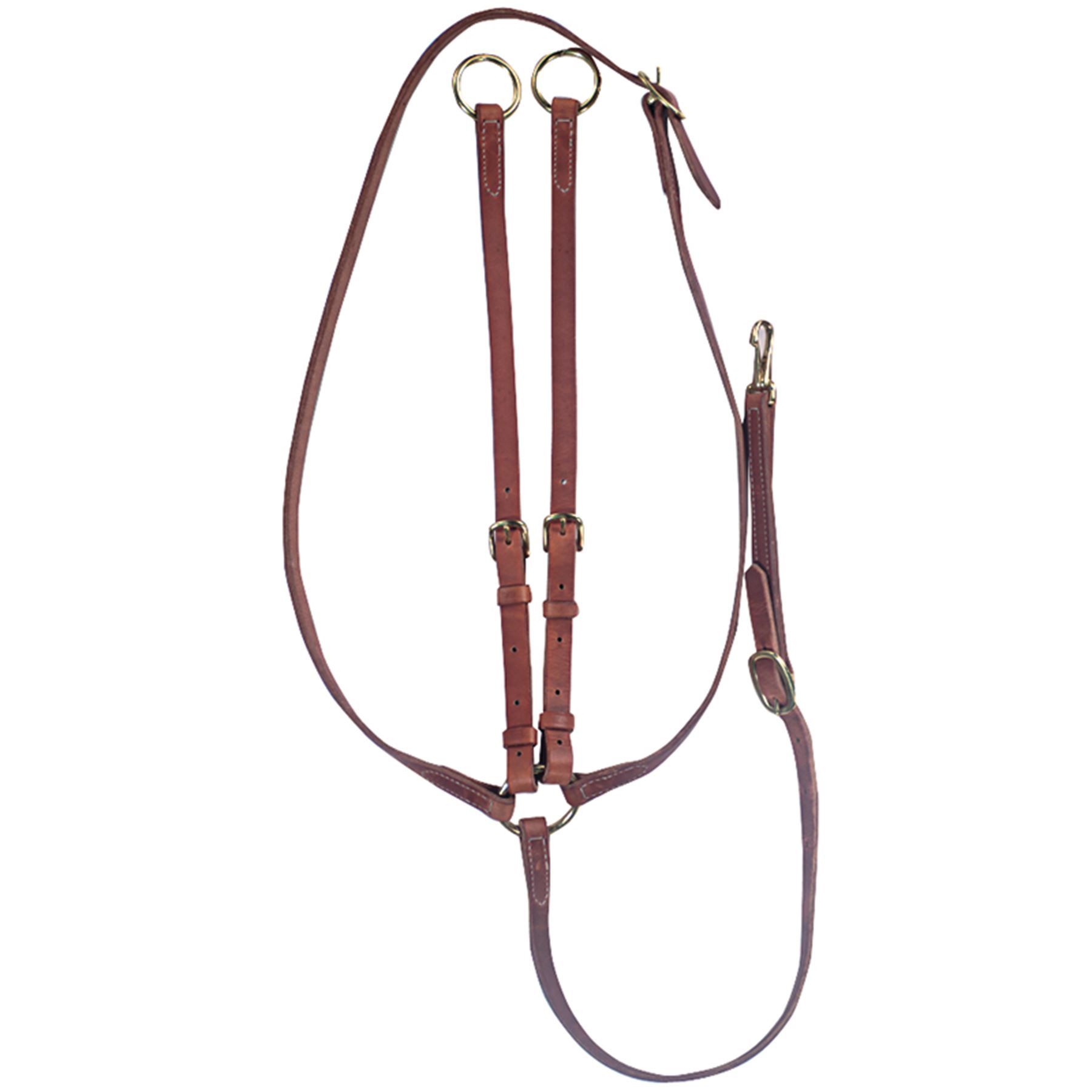 Billy Royal® Adjustable Pleasure Martingale in Martingales/Training