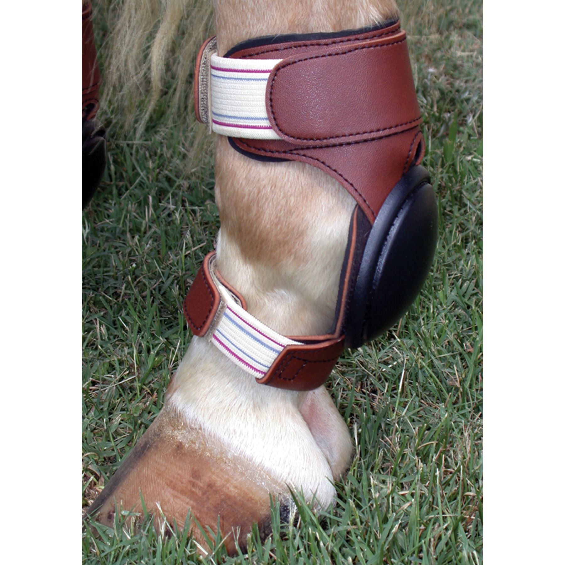 DuraTech® Ultralite Skid Boot in Horse Boots / Wraps at Schneider Saddlery