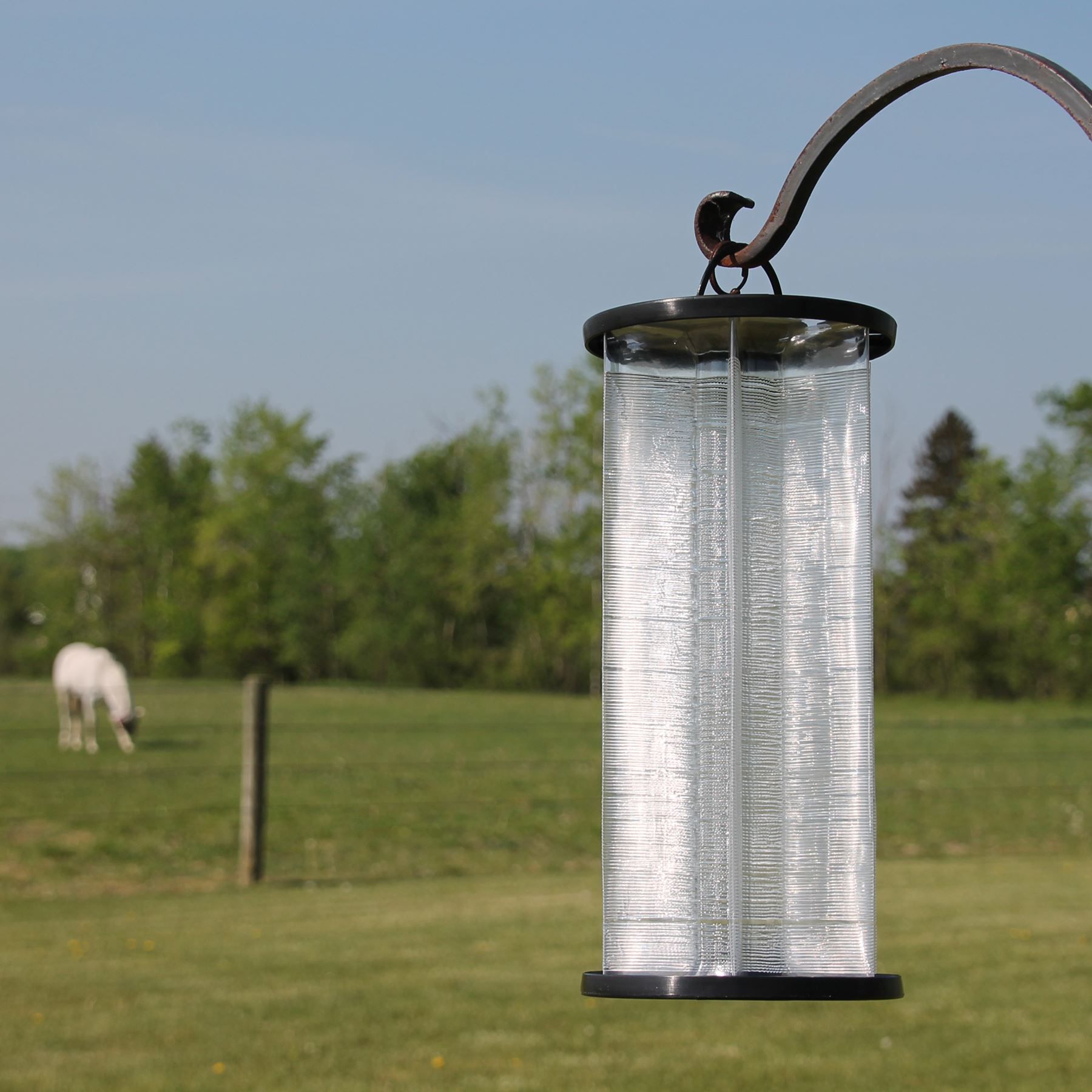Starbar Bite Free Stable Fly Trap in Fly Repellent at Schneider Saddlery