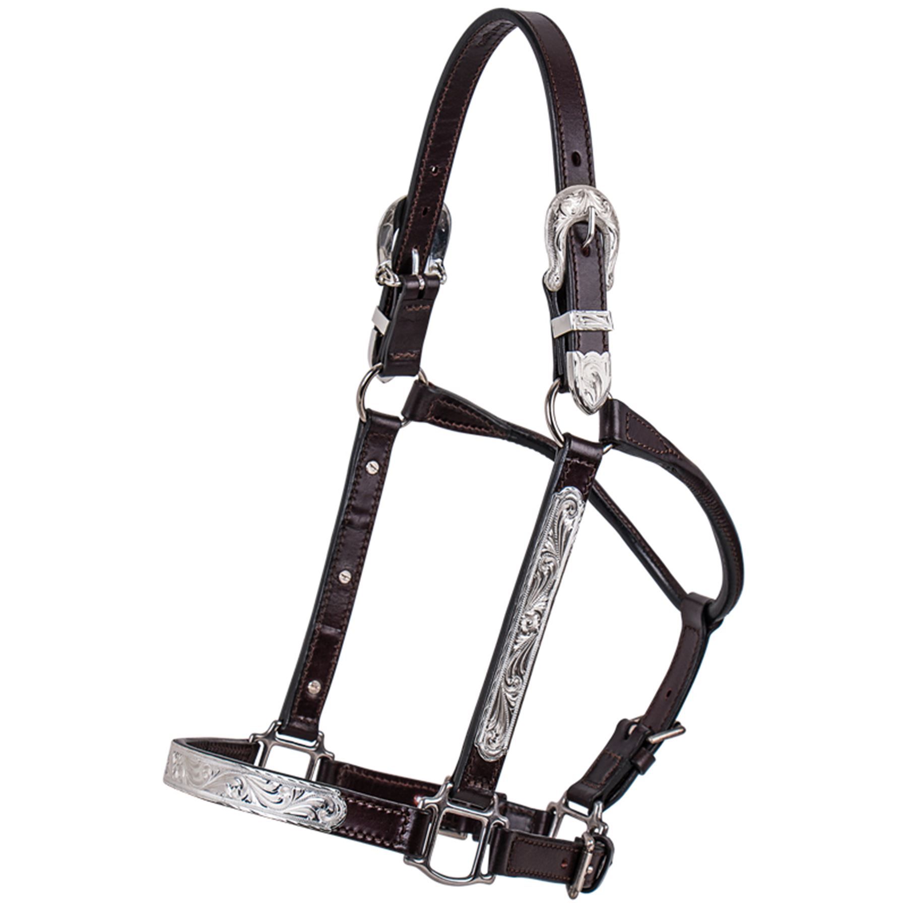 Billy Royal® Silver Plate Fitted II Show Halter in QH Show Halters at