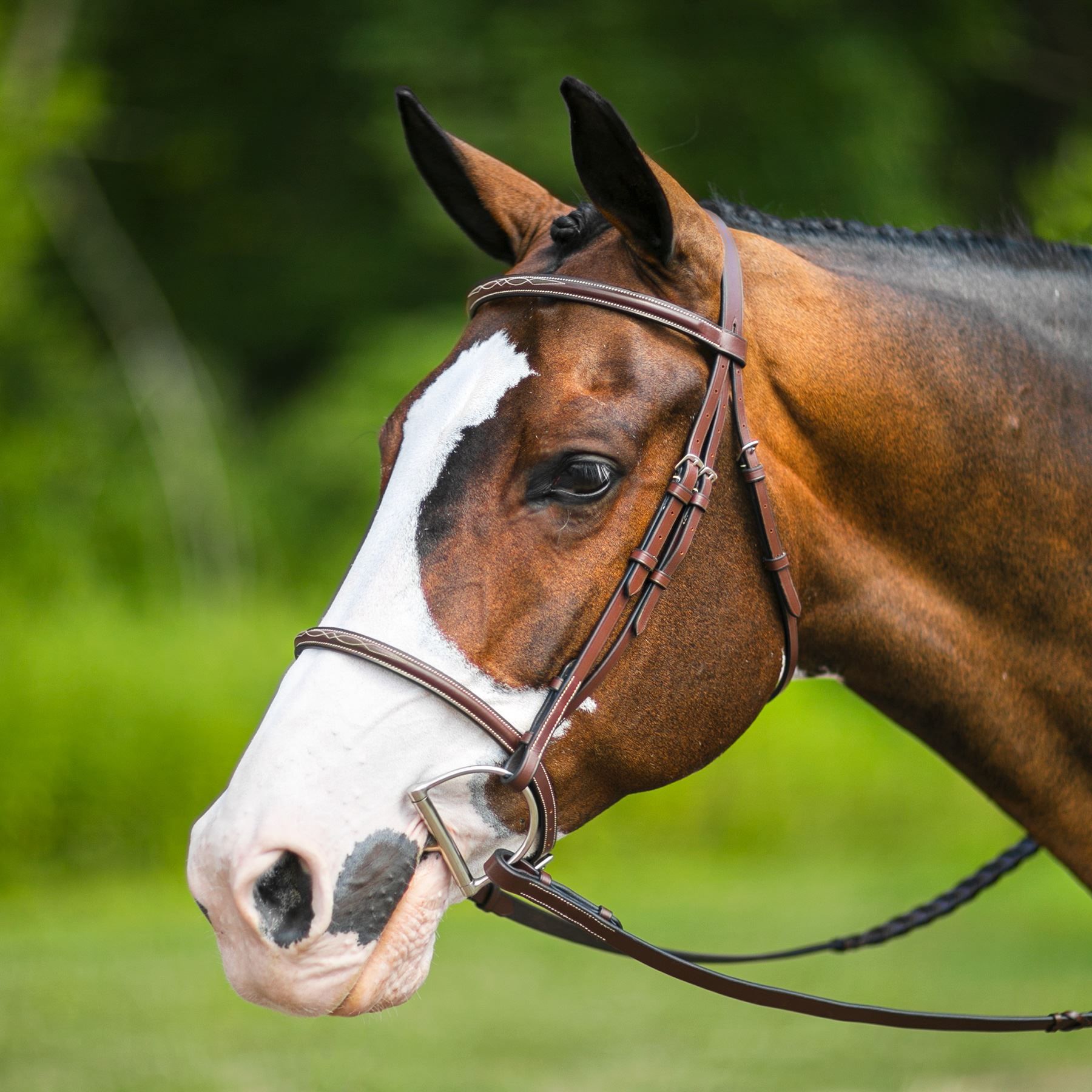 Pinnacle Raised Fancy Stitched Bridle in Hunter / Jumper at Schneider