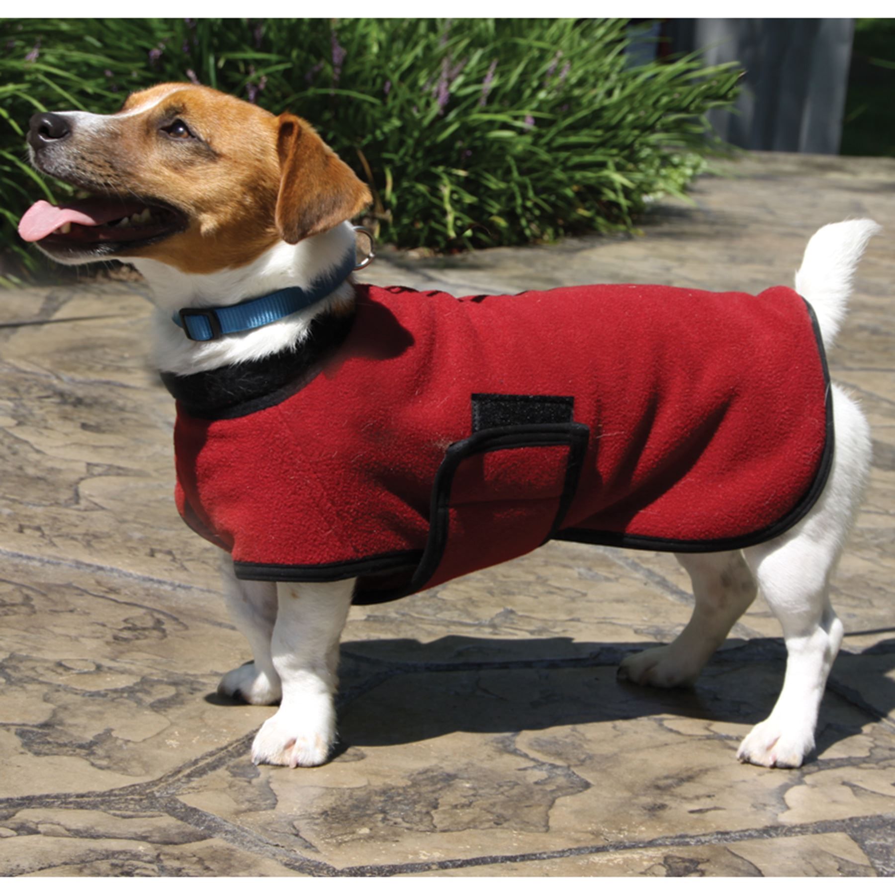 DuraTech® Fleece Dog Coat Puppy, XXS, XS in Specials at Schneider
