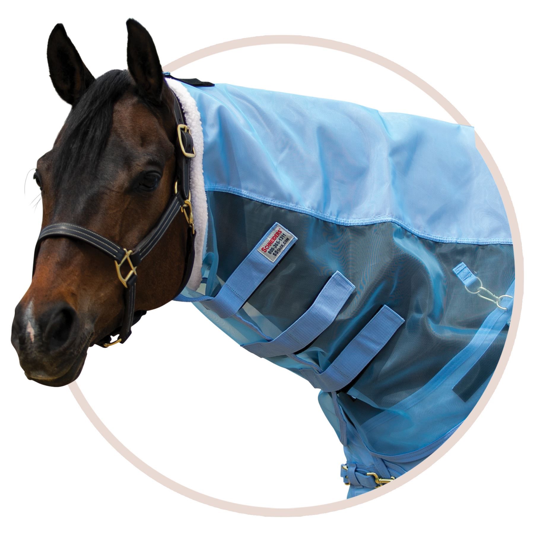 Mosquito Mesh Fly Neck Cover in Mosquito Mesh Fly Sheets at Schneider Saddlery