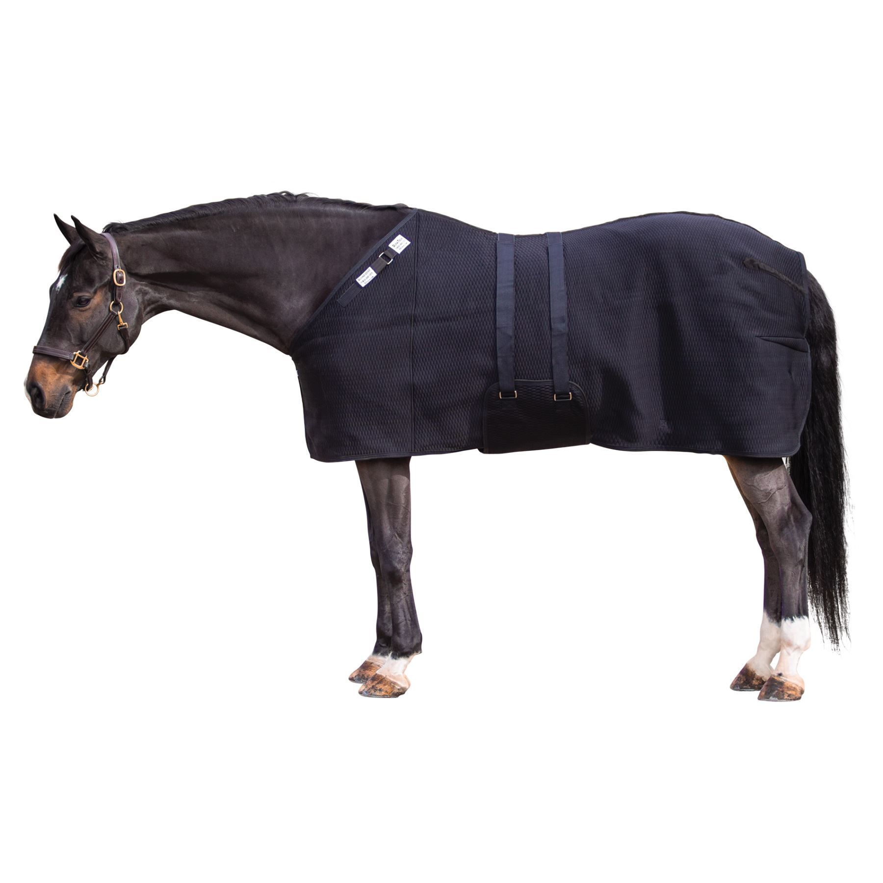 PolyTech® Bellyband MultiPurpose Liner in Horse Blankets And Sheets