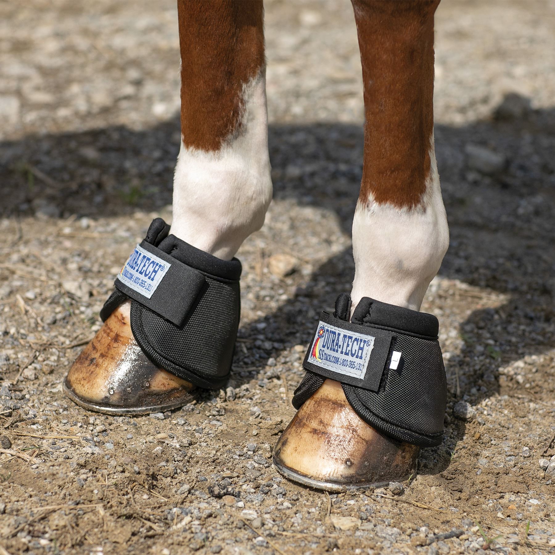 DuraTech® Ballistic Bell Boots in Horse Boots / Wraps at Schneider