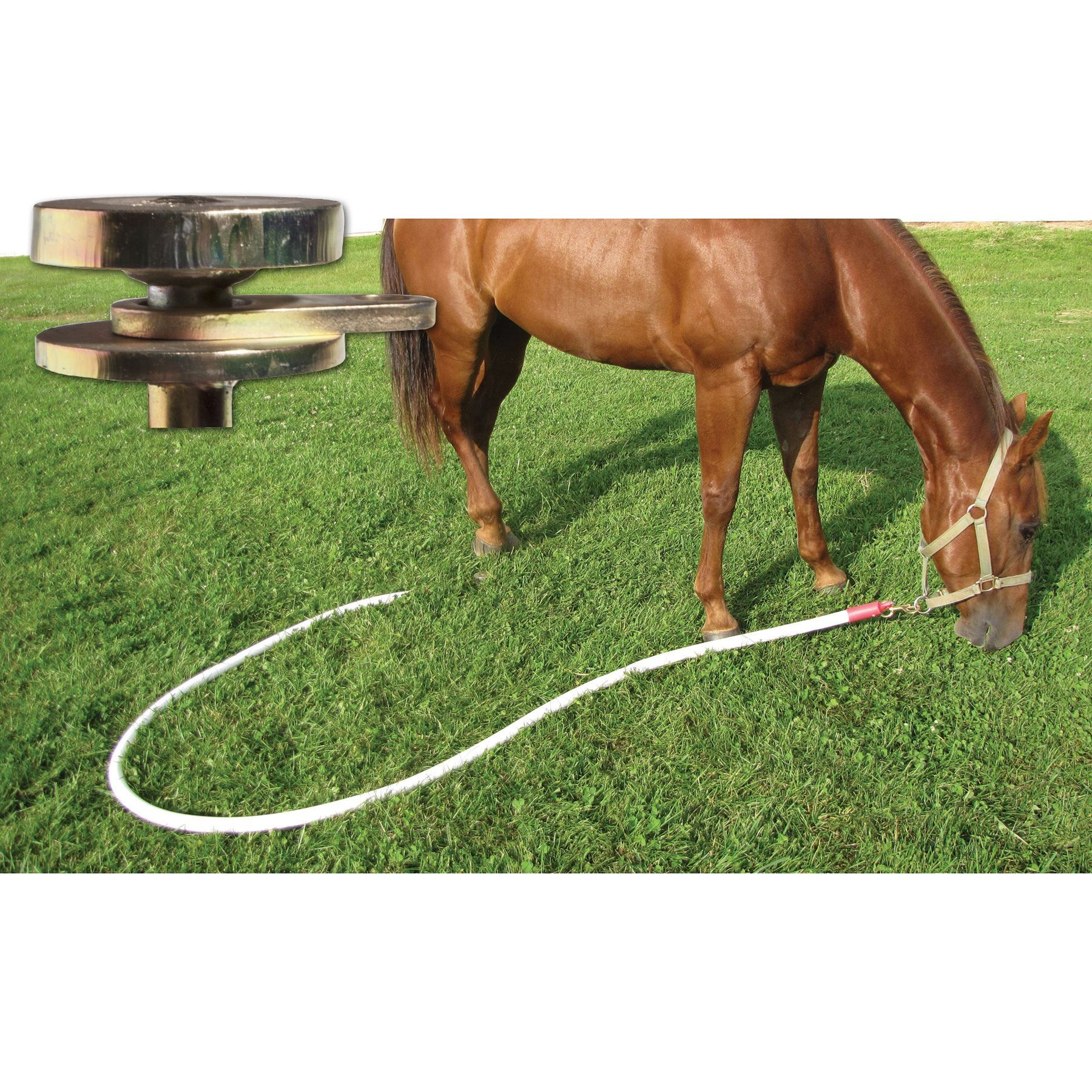Beyond Tack Ground Tie System in Accessories for Trail Riding at