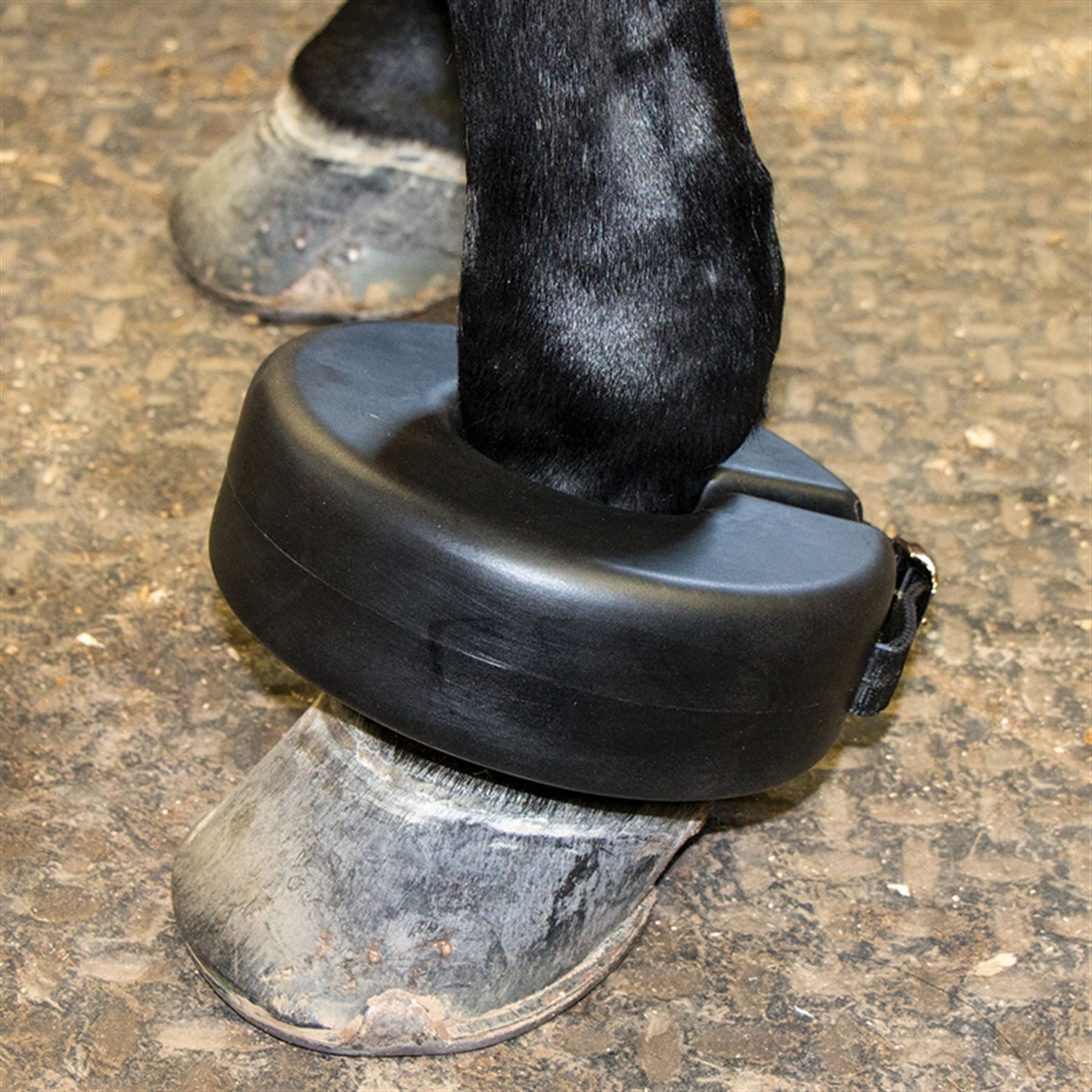 DuraTech® Shoe Boil Boot in Horse Boots / Wraps at Schneider Saddlery