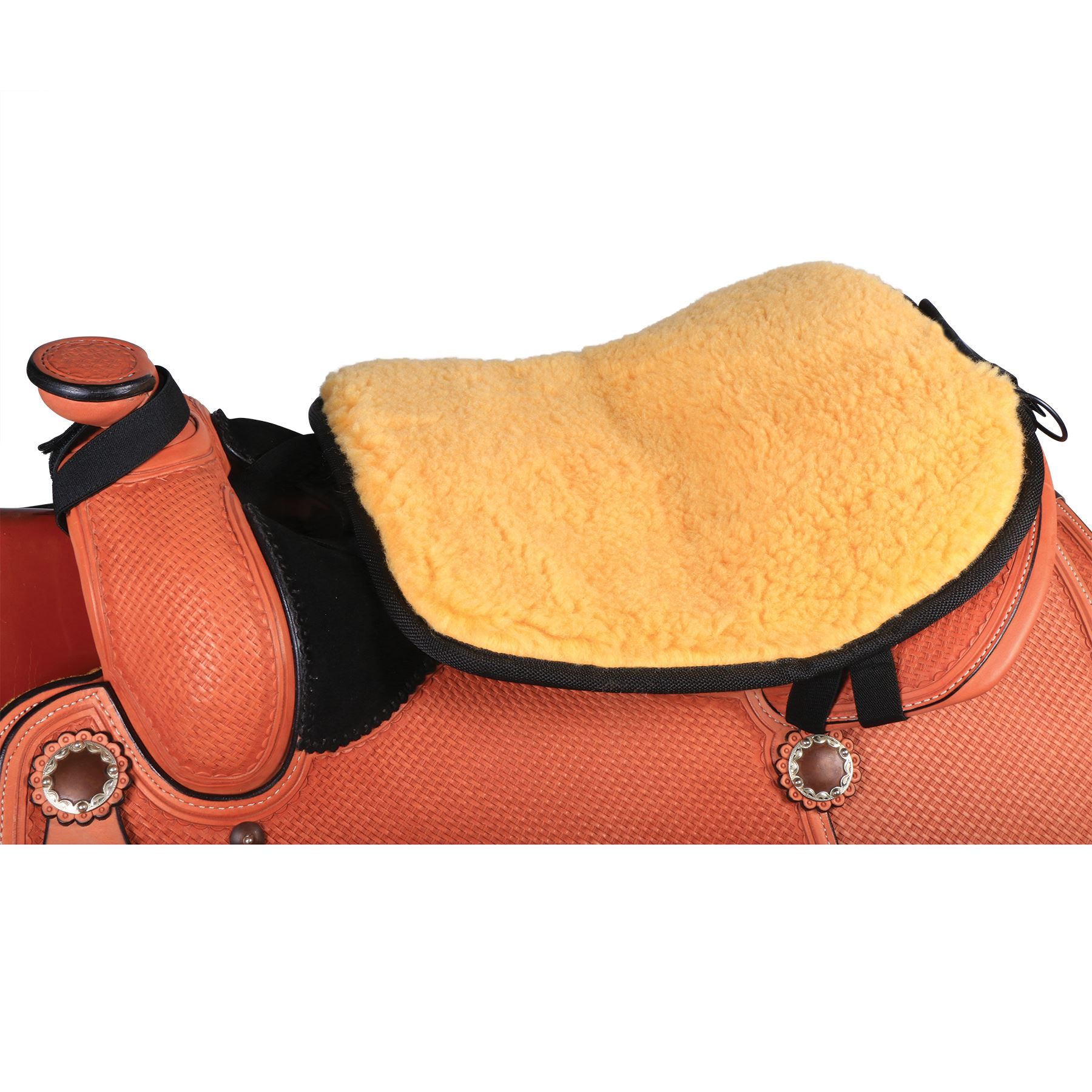 Cozyrides Heated Saddle Cushion in Accessories at Schneider Saddlery