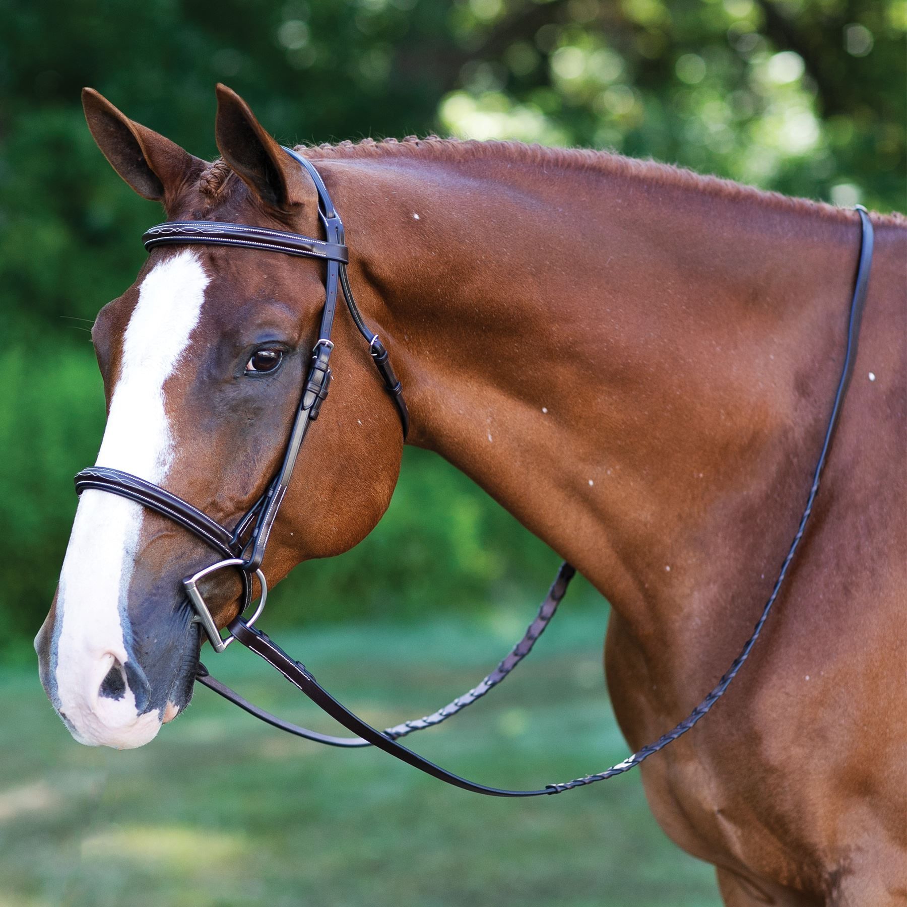 Joseph Sterling® Comfort Plus Hunter Bridle in Hunter / Jumper at
