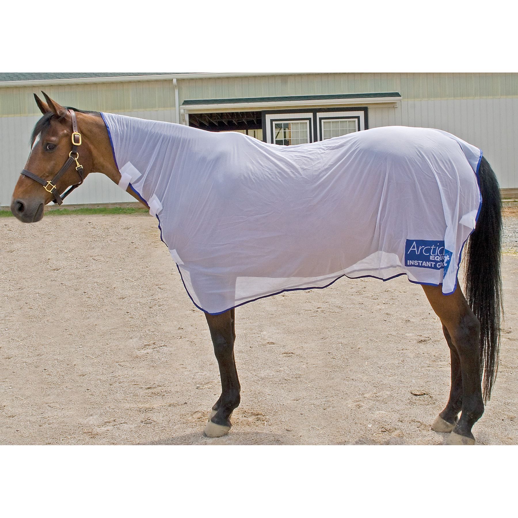 Arctic Blast Cooling Rug