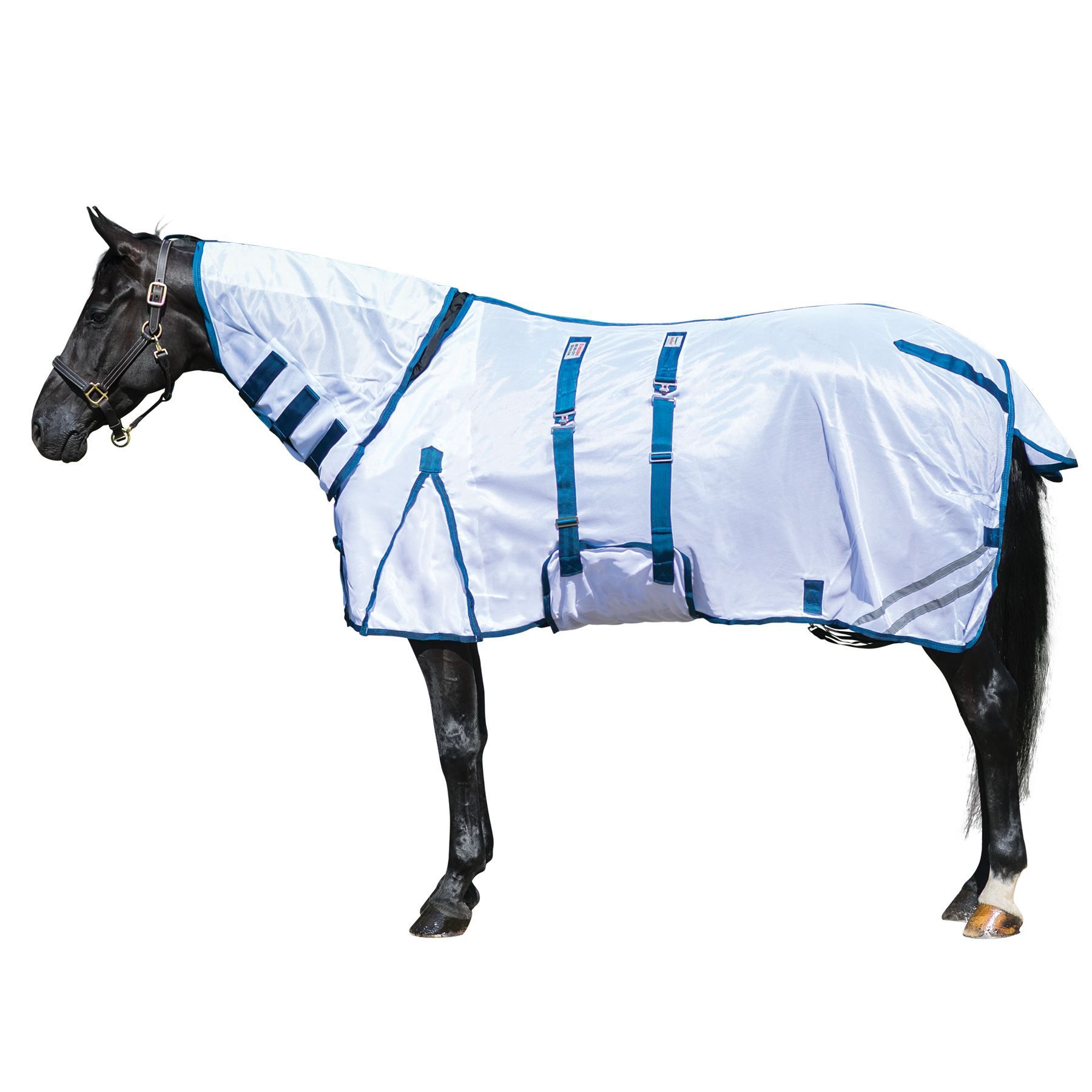Interlock Mesh Bellyband Combo Fly Sheet in Horse Blankets And Sheets