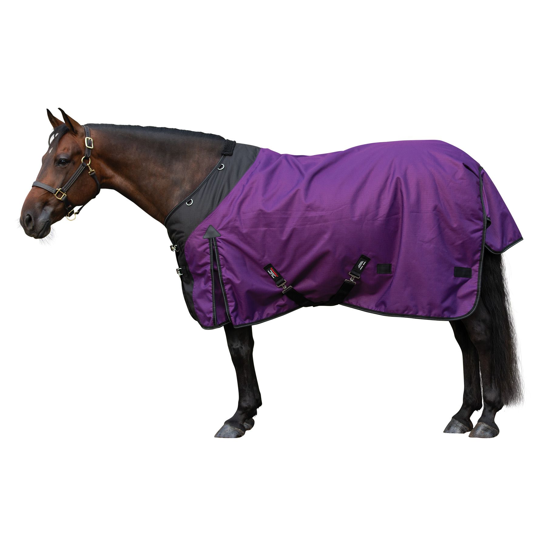 StormShield® Contour Collar Classic Surcingle Turnouts in Horse