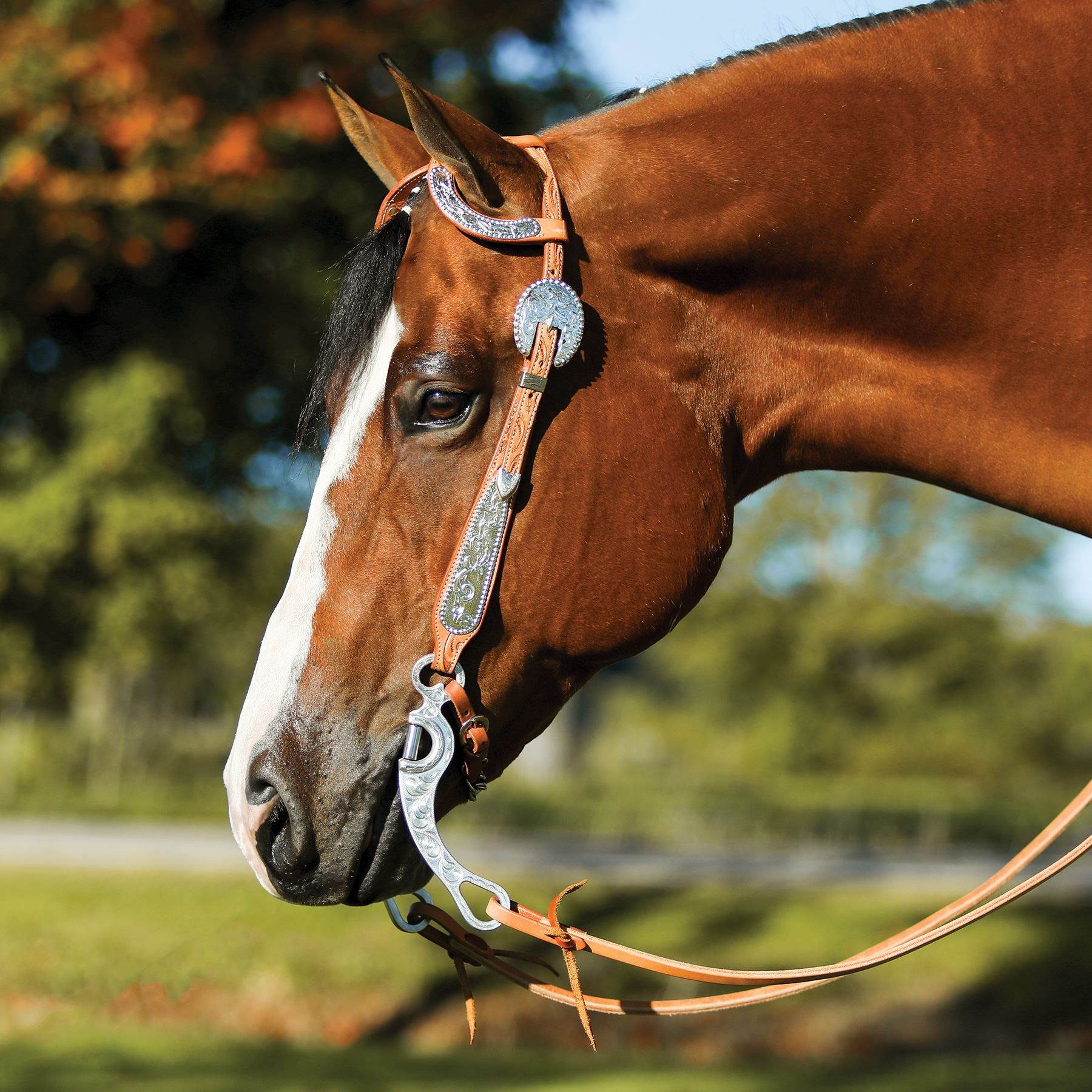 Double S Two Ear Silver Plate Headstall in Western at Schneider Saddlery