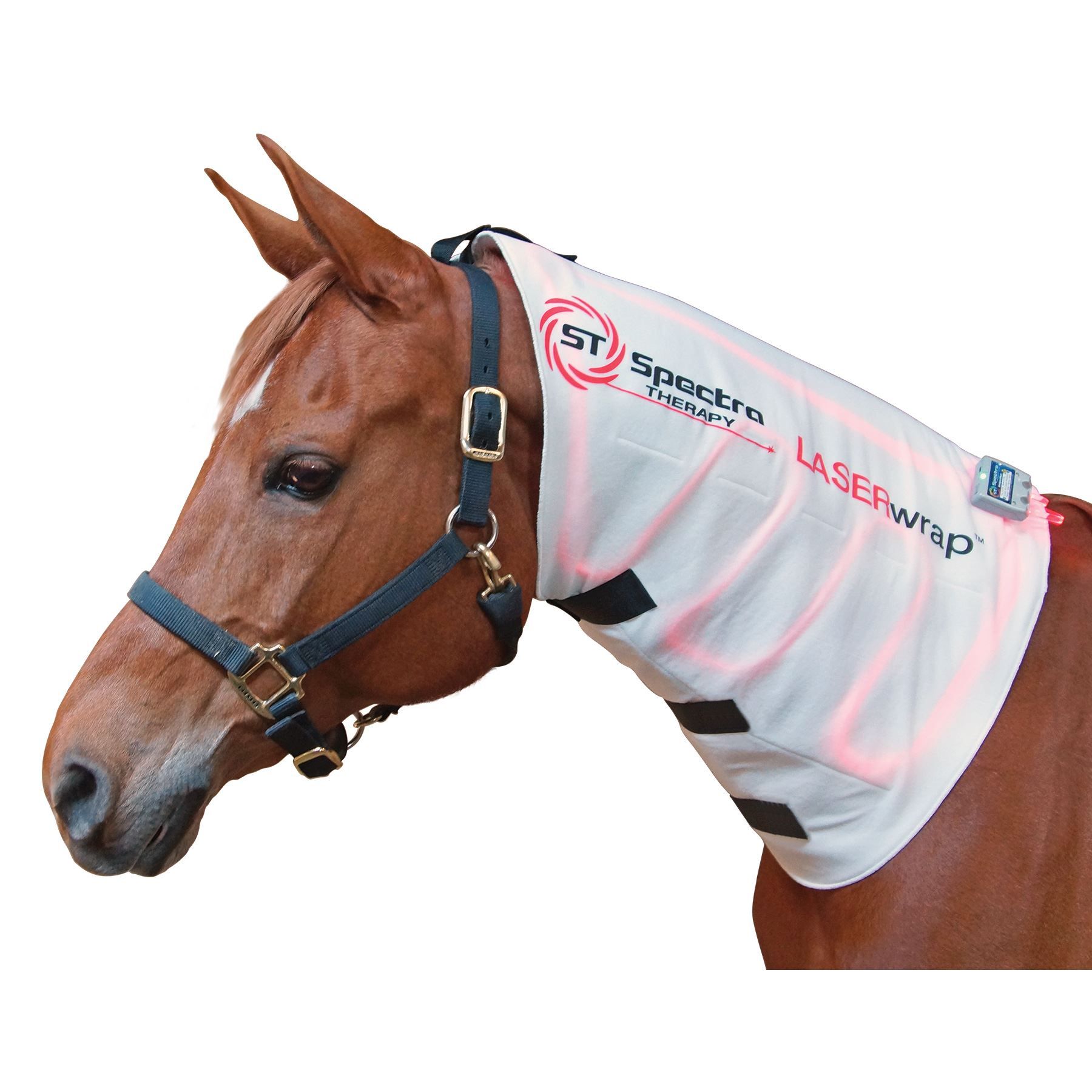 Wearable LASERwrap™ Neck Wrap in Horse Boots / Wraps at Schneider