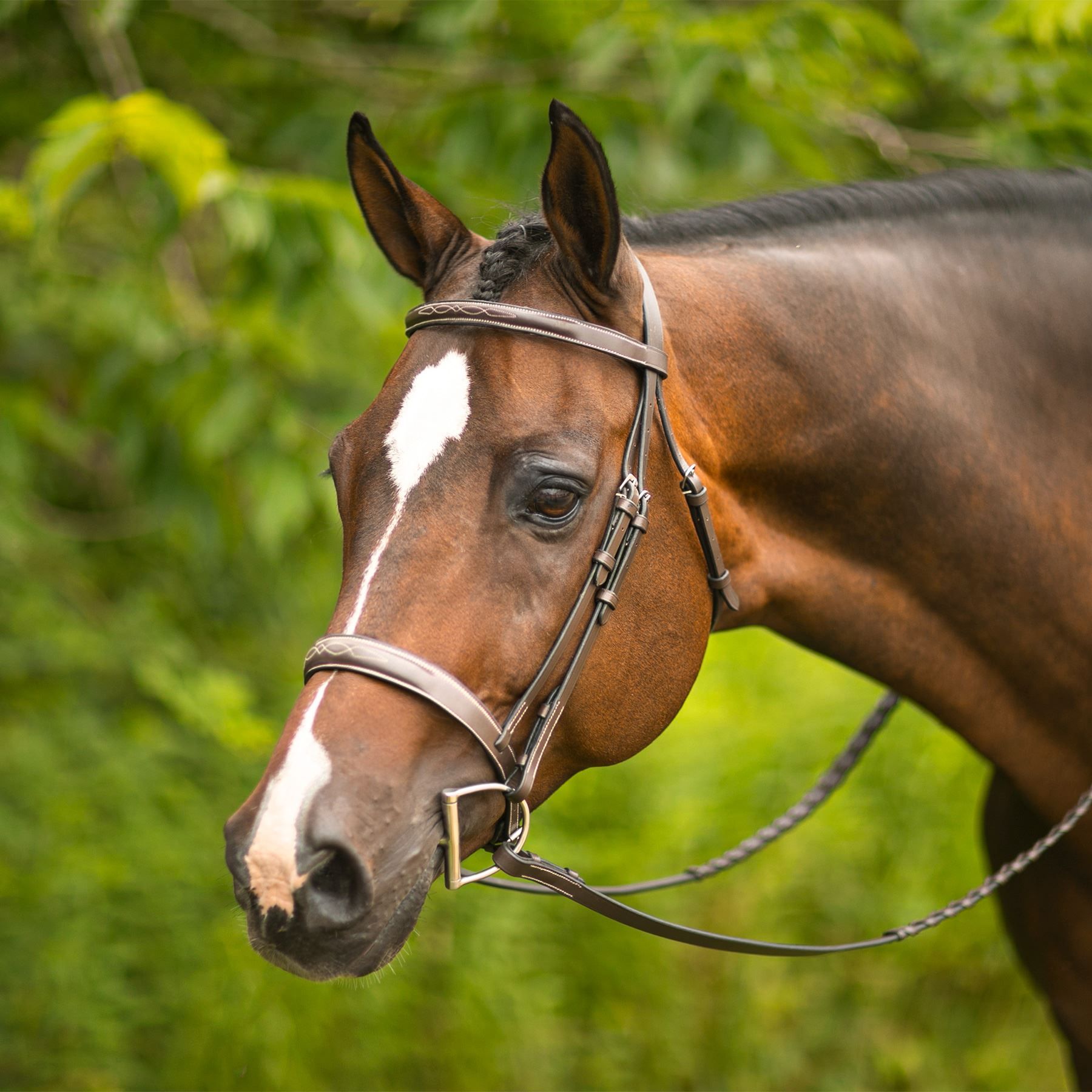 Pinnacle Hartford Hunter Bridle in Hunter / Jumper at Schneider Saddlery