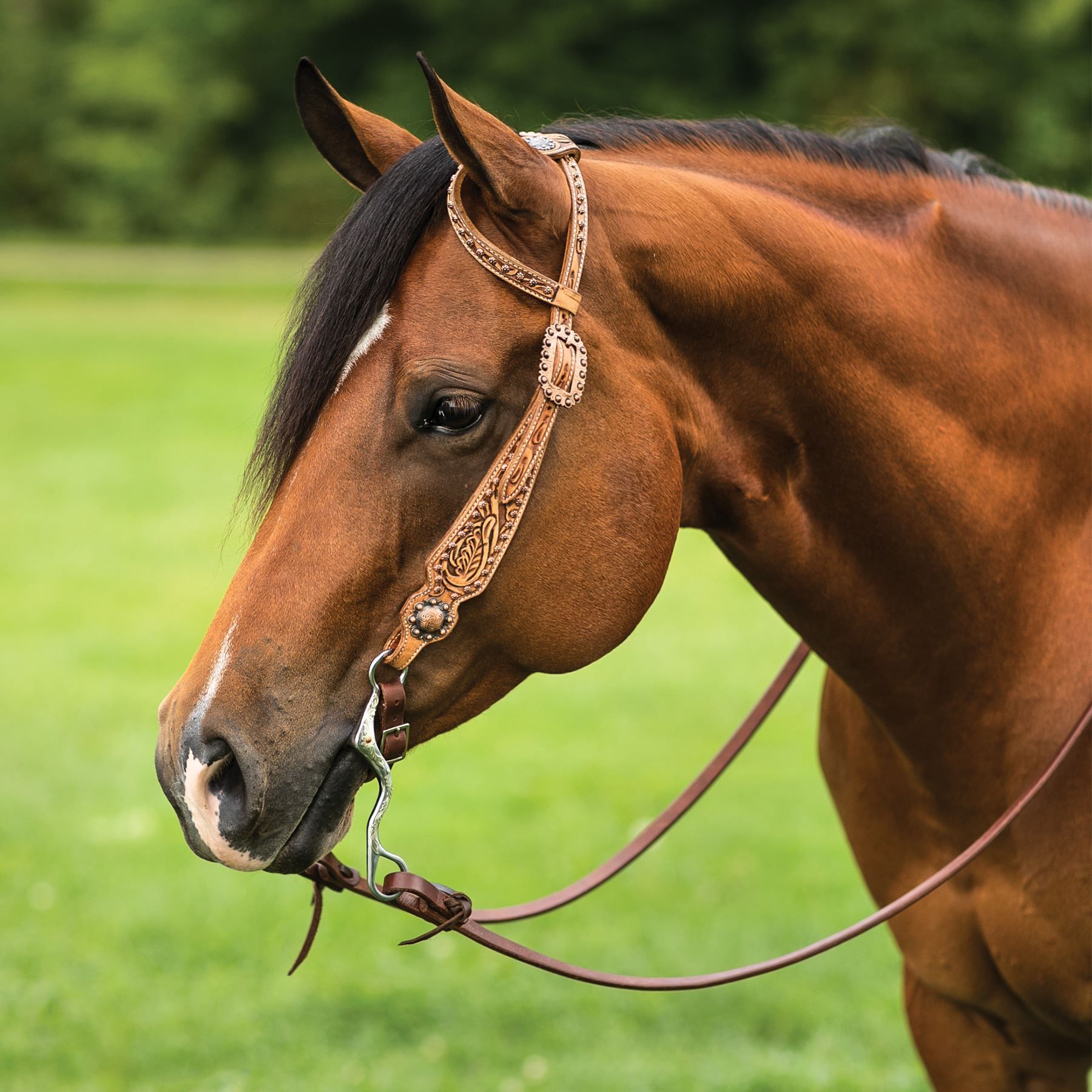Double S Tooled Copper One Ear Headstall in Western at Schneider Saddlery