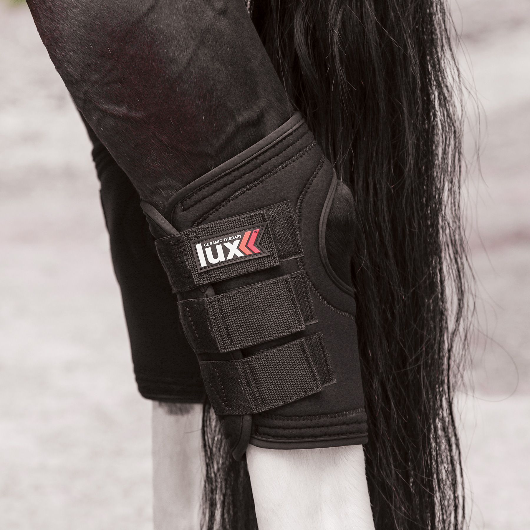 Lux Ceramic Therapy® Hock Wraps in Ceramic Therapy at Schneider Saddlery