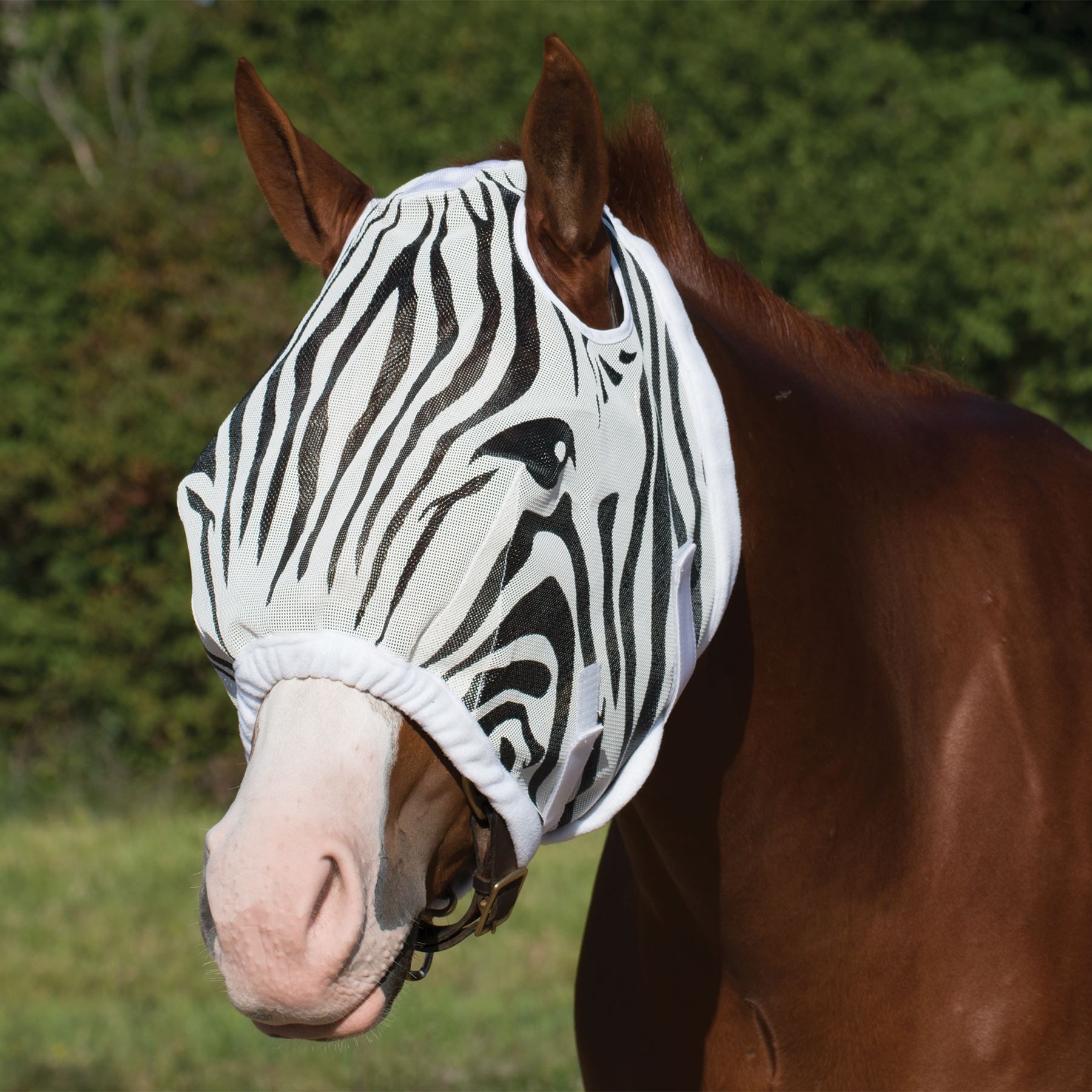DuraTech® Zebra Fly Mask without Ears in at Schneider Saddlery