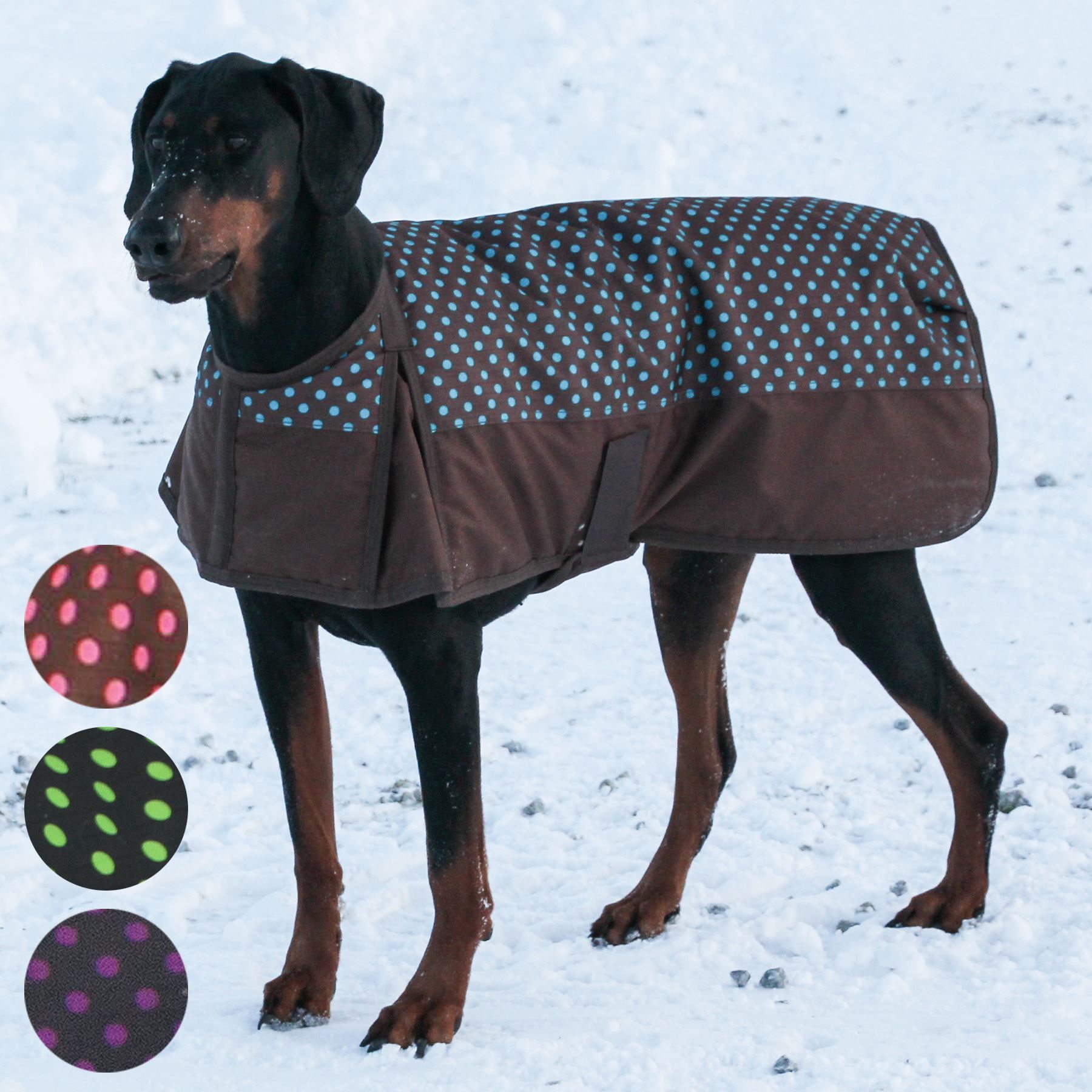DuraTech® Polka Dot Insulated Waterproof Dog Coat in Dog Coats